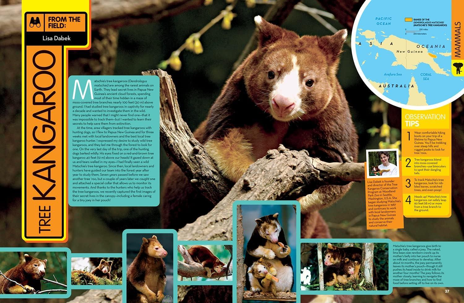 National Geographic Kids Animal Encyclopedia, 2nd Edition - (Hardcover)