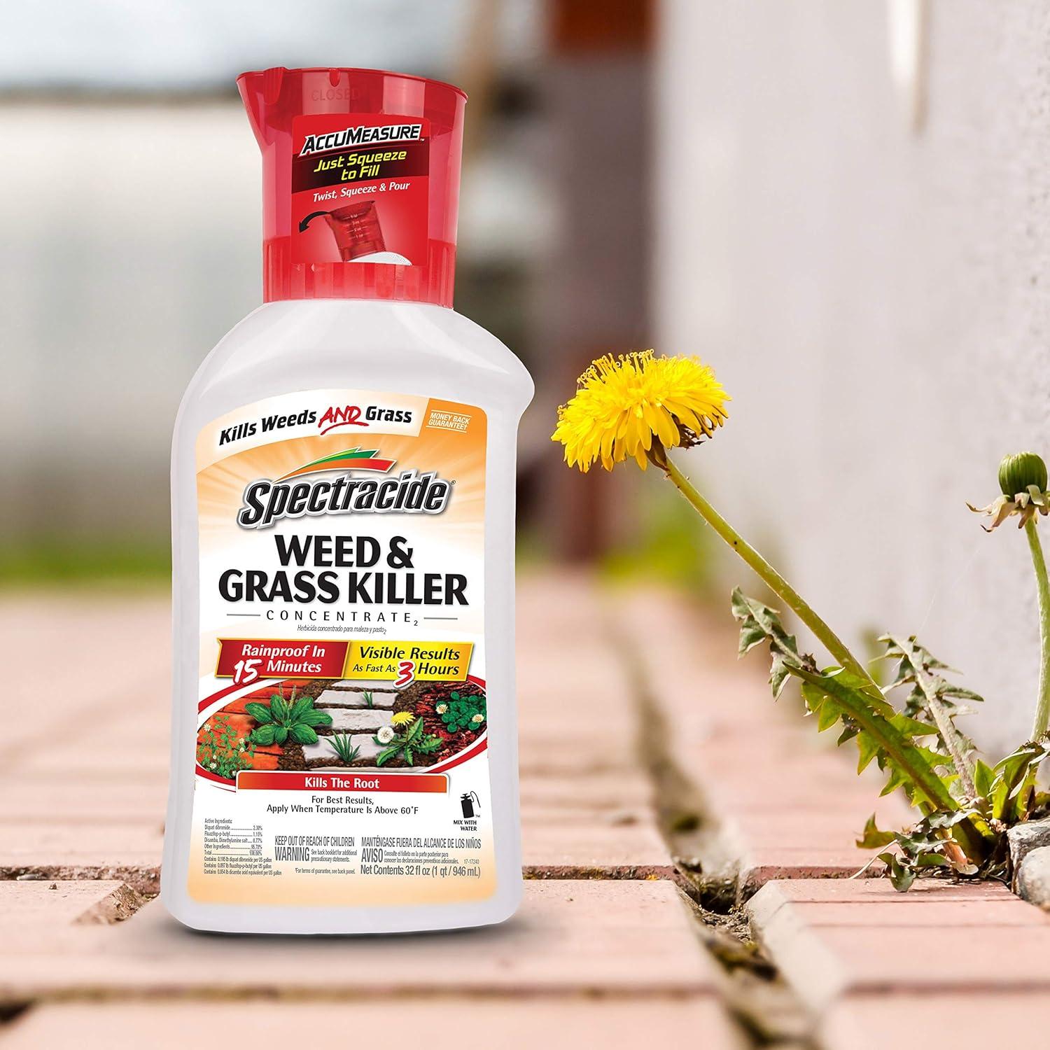 Spectracide Weed and Grass Killer Concentrate 32 oz
