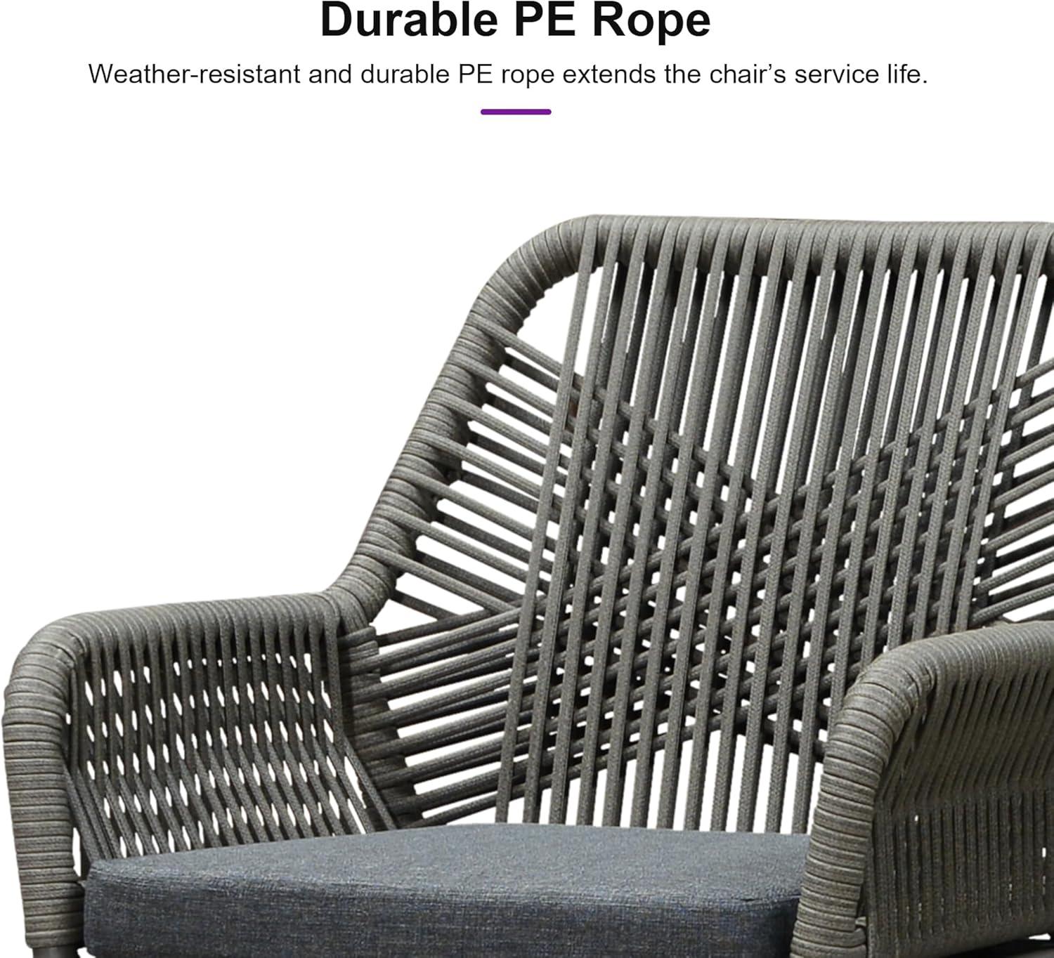 PURPLE LEAF Outdoor Wicker 29" Bar Stools Set of 2, Boho Patio Bar Height Chair with Cushion and Back for Outdoor and Indoor, Garden, Patio, Smoke Grey