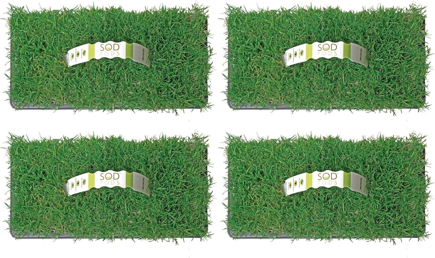 SodPods® Bermuda Grass Plugs (32-Count) Heat & Drought Tolerant Grass, Fast-Spreading, Durable Lawn Repair with Fully Developed Natural Roots – Cannot Ship to CA or AZ