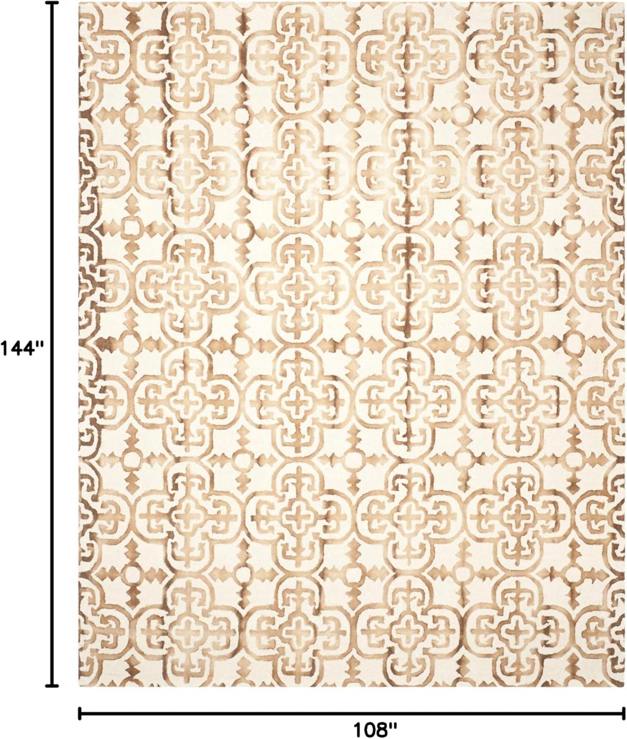 Dip Dye DDY711 Hand Tufted Area Rug  - Safavieh