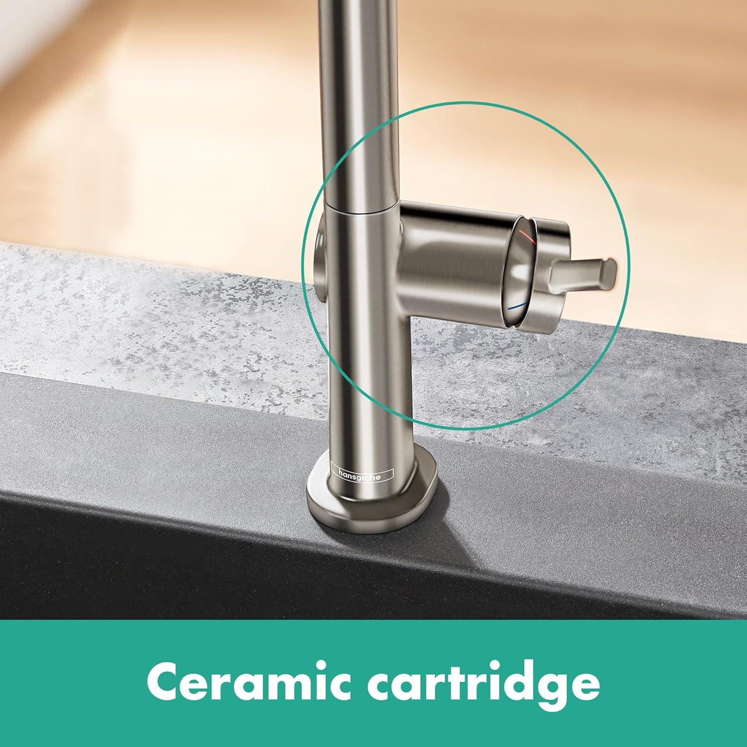 hansgrohe Talis N Kitchen Faucet, U-Style 1-Spray, 1.75 GPM