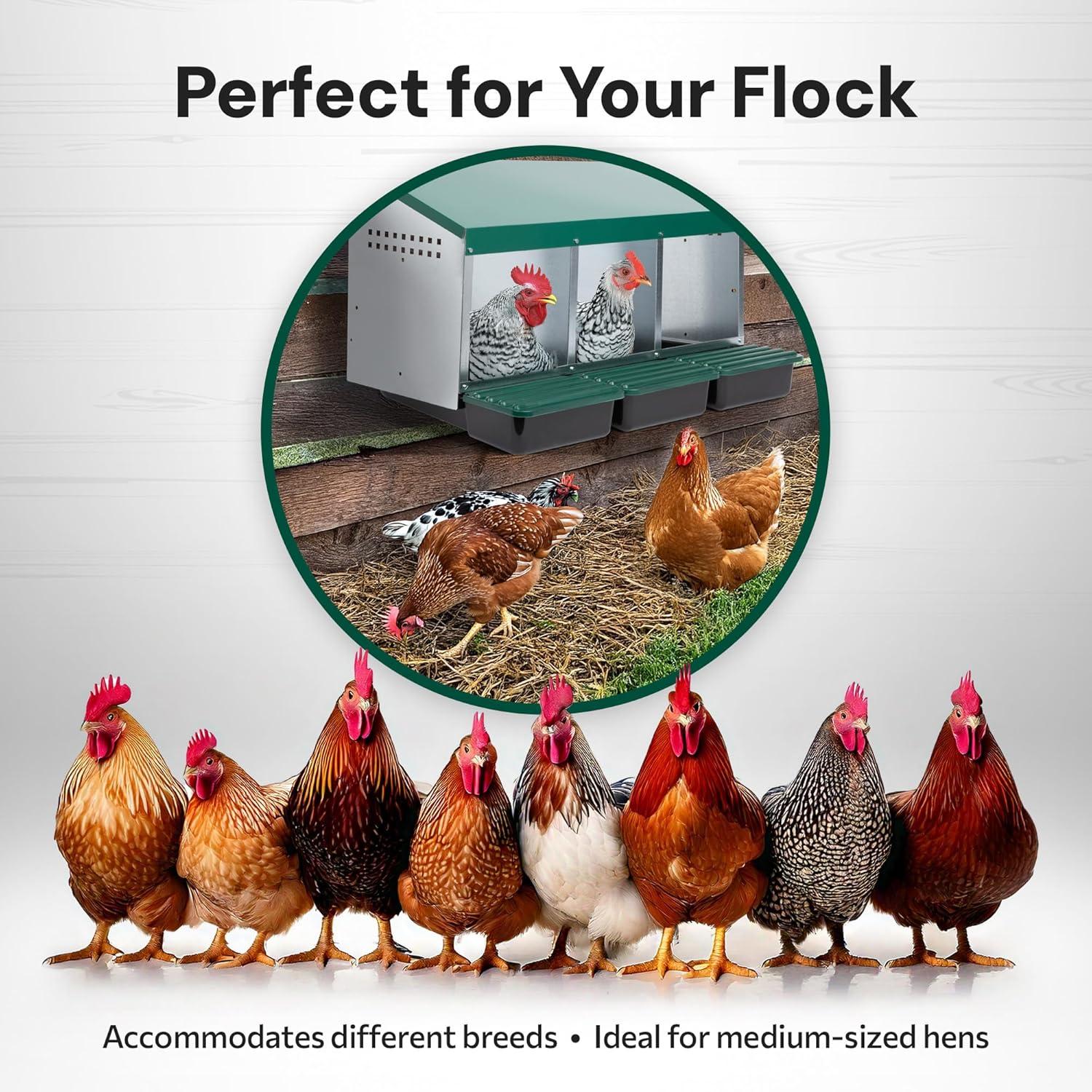 Compact Style 3 Compartment, Forward Rollout & Rollaway, Hen & Chicken Nesting Box with Protective Egg Laying Collection Lids