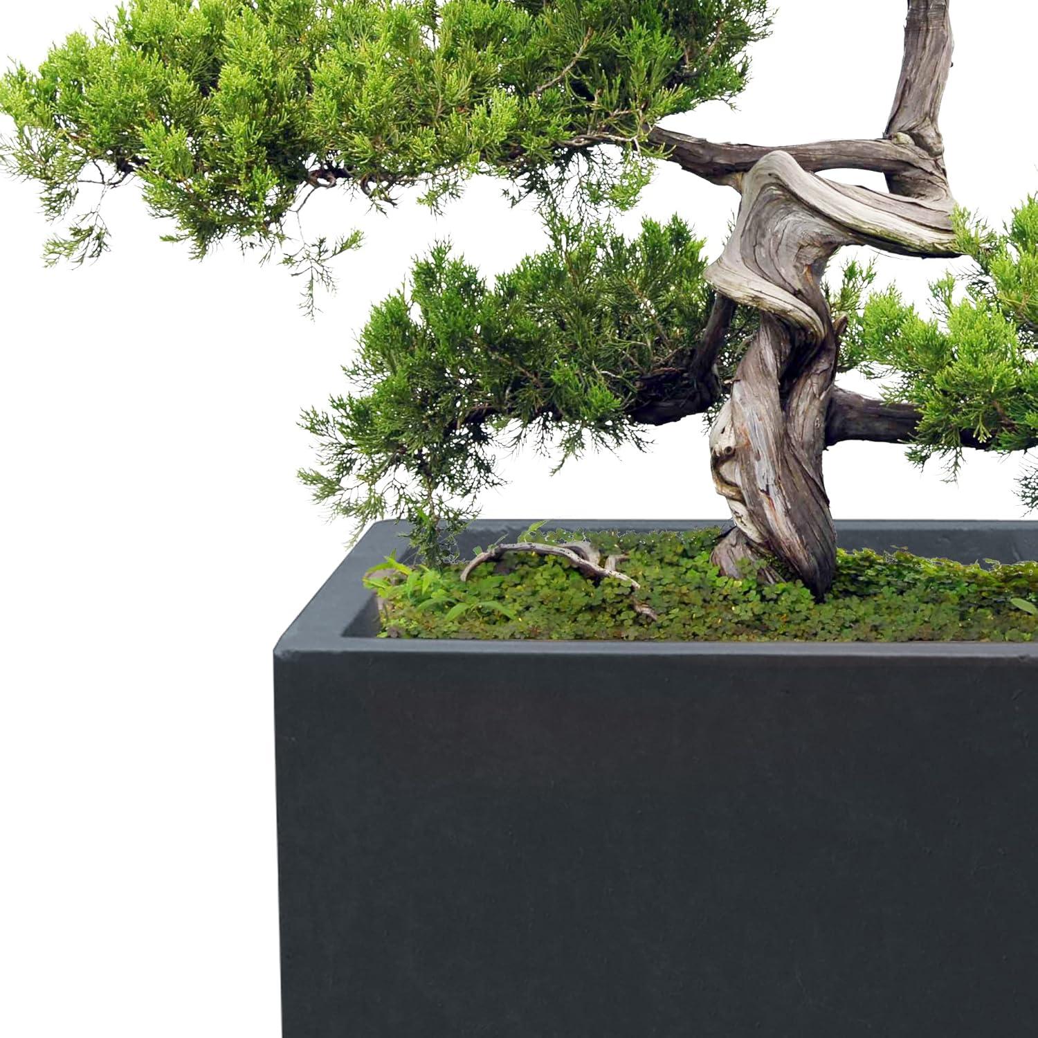 Kante 16"H Charcoal Finish Concrete Tall Square Planter, Outdoor/Indoor Lightweight Planters Pots with Drainage Hole