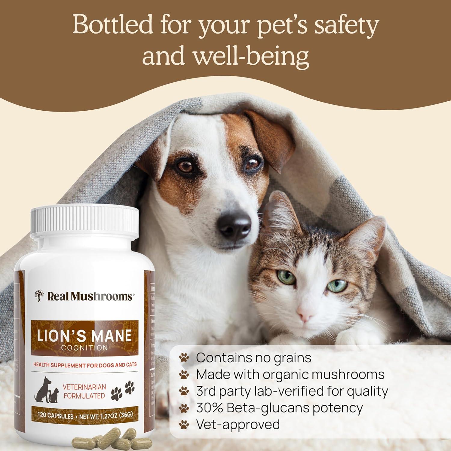 Real Mushrooms Lion's Mane, For Dogs and Cats, 120 Capsules