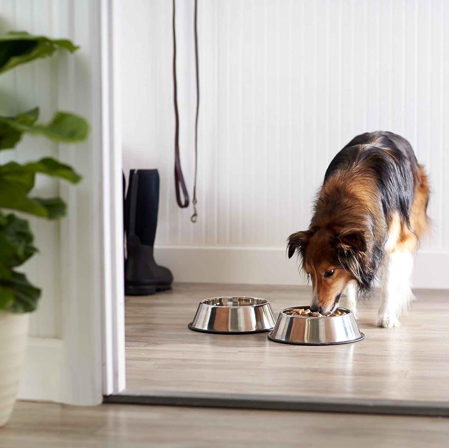 Stainless Steel Non-Skid Dog Bowls, 2-Pack, 32 oz Each