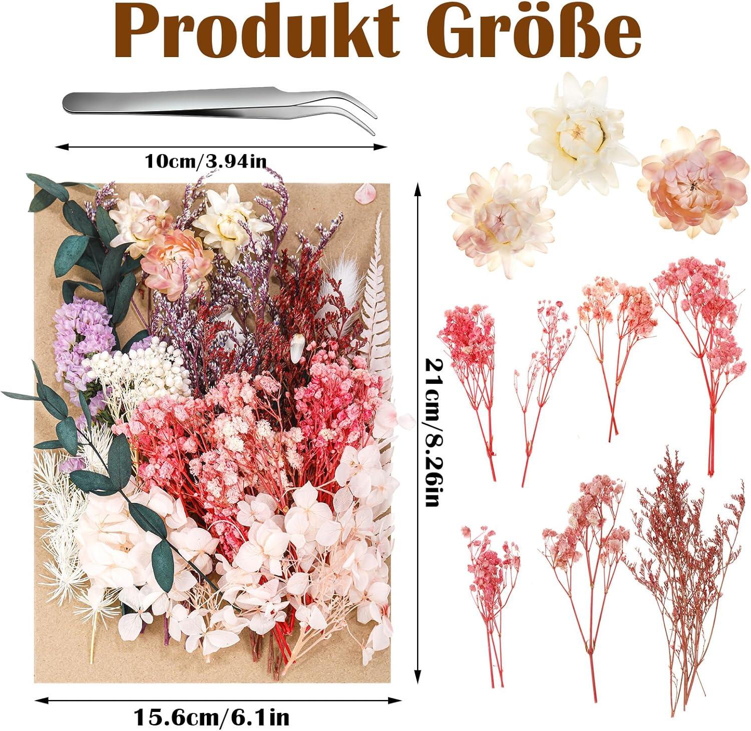 Yoloke DIY Dried Flowers Craft Kit - Natural Assorted Dried Florals for Making Everlasting Valentine's Day Gifts, Unique Design, Perfect for Framing & Creative Decor