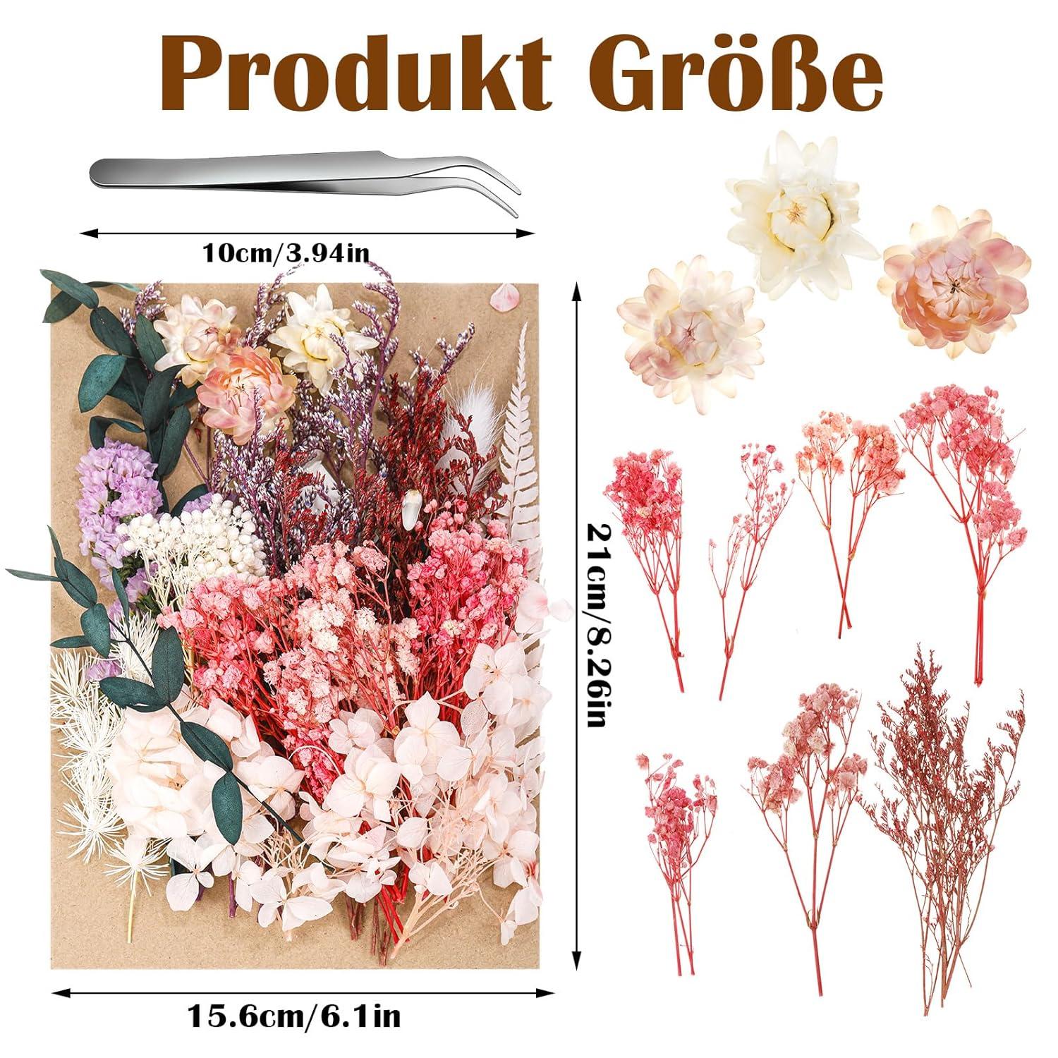 Yoloke DIY Dried Flowers Craft Kit - Natural Assorted Dried Florals for Making Everlasting Valentine's Day Gifts, Unique Design, Perfect for Framing & Creative Decor