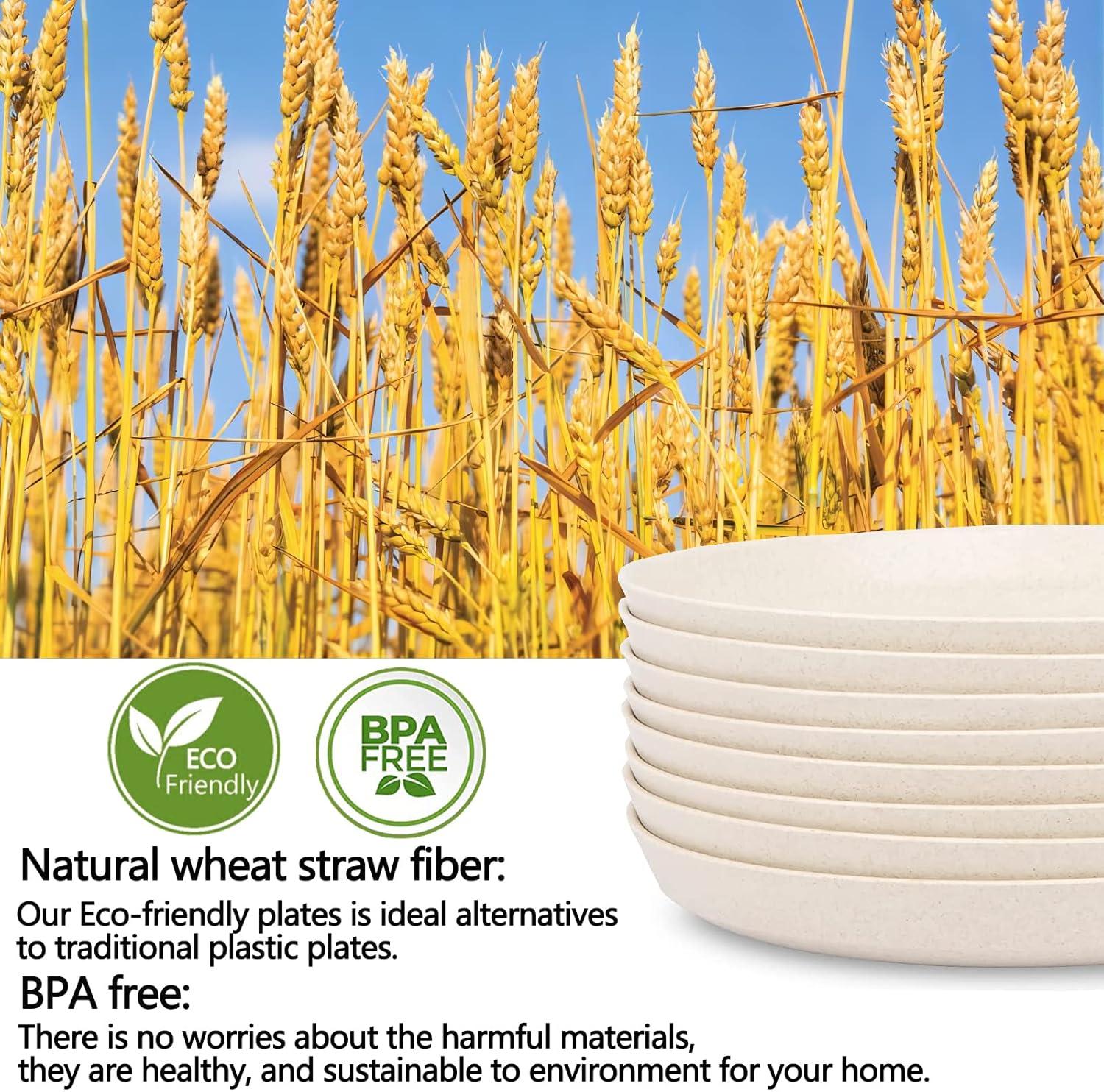 9 Inch Dinner Plates - BPA-Free Wheat Straw Plates, Off White Plate Set (Dishwasher & Microwave Safe) | Eco-Friendly & Unbreakable