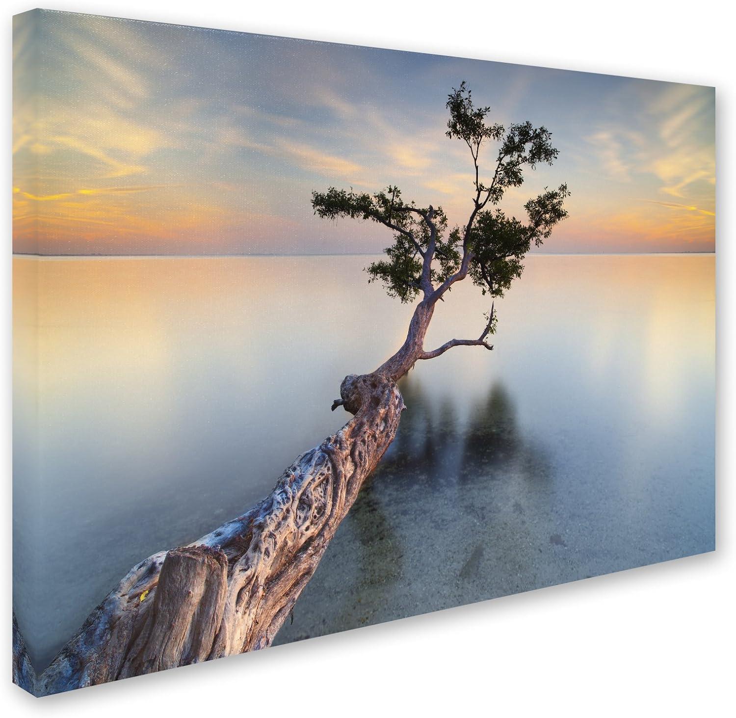 Trademark Fine Art "Water Tree XIV" Canvas Art by Moises Levy