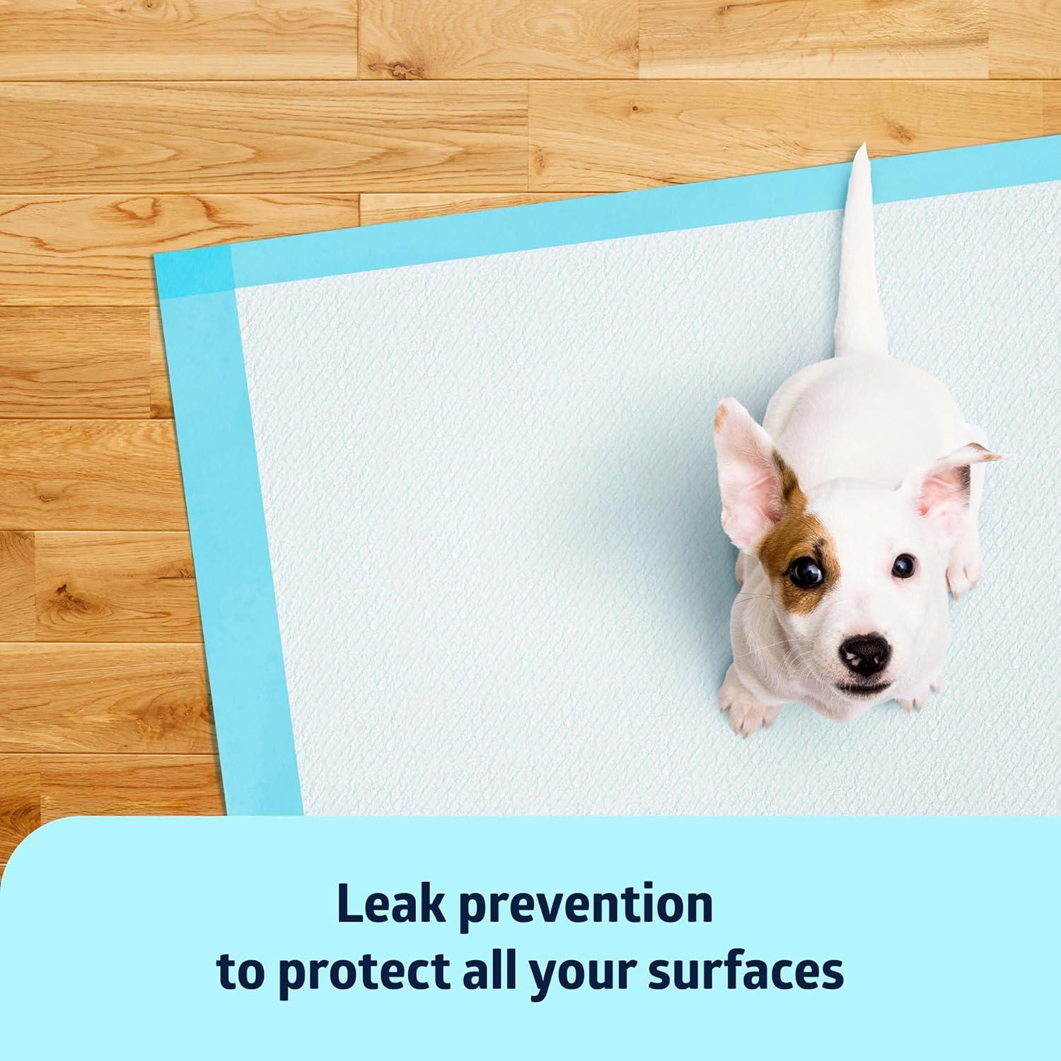 Medline Quilted Basic Disposable Blue Underpad, For Incontinence, Furniture Protection or Pet Pads, 23" X 36", Blue, 150 Count