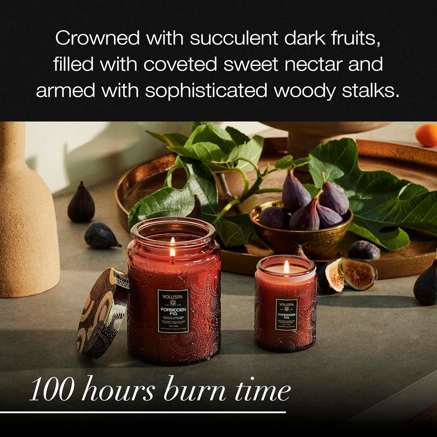 Forbidden Fig Large Jar Candle with Japonica Pattern
