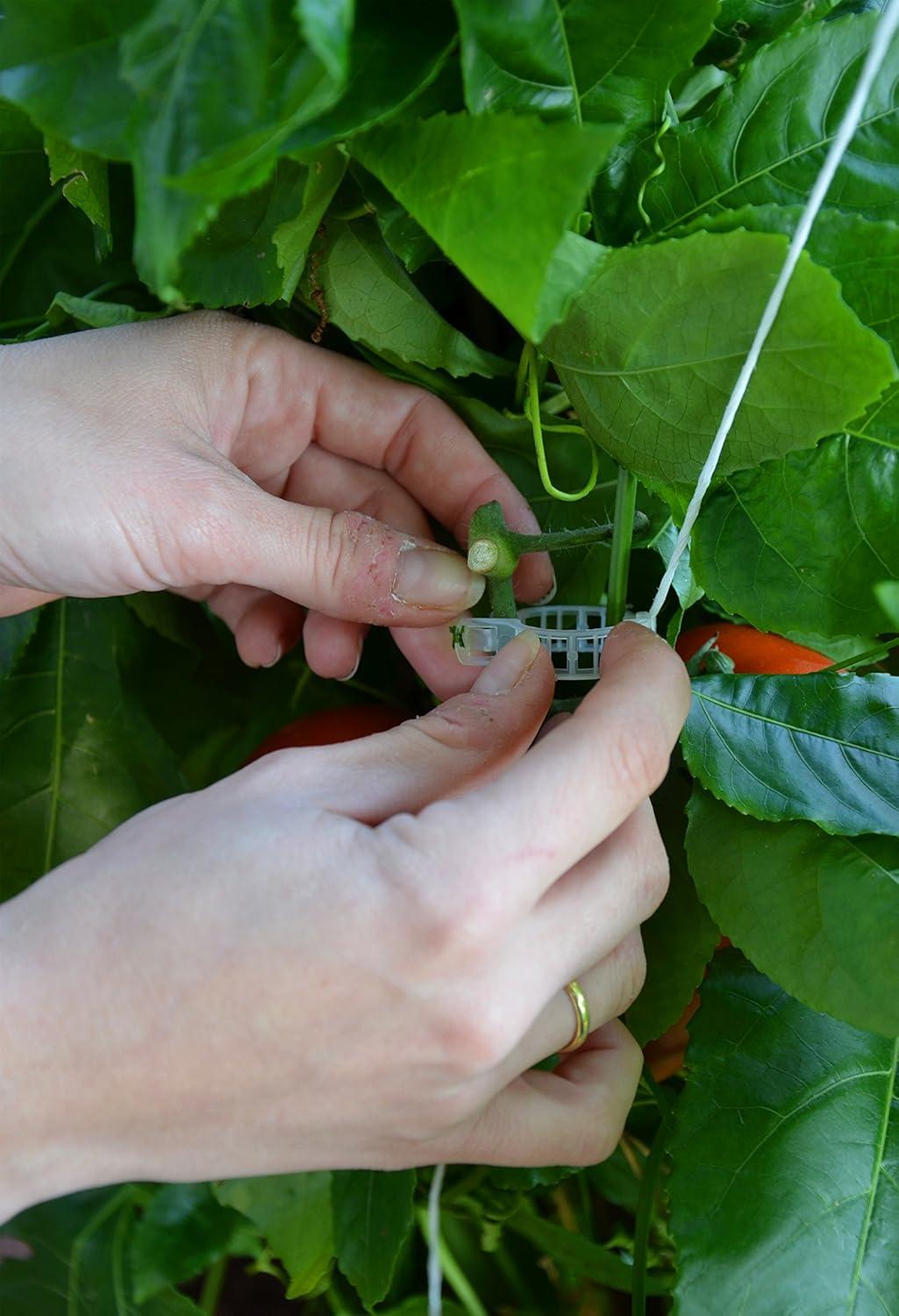 Canopia Palram - Canopia Greenhouse Trellising Kit