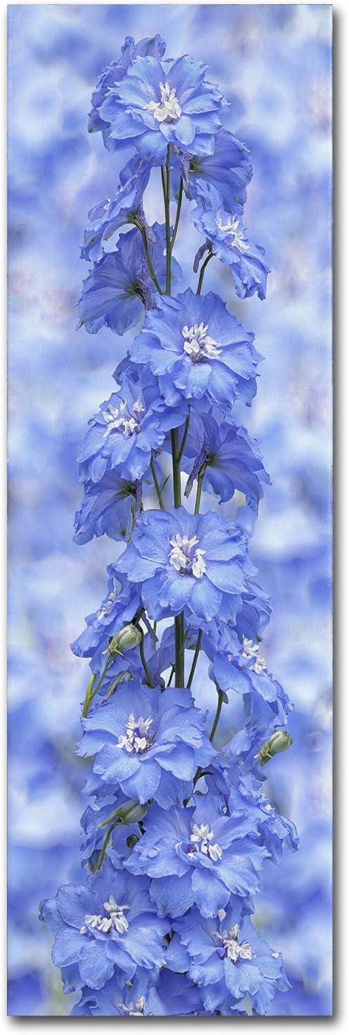 Trademark Fine Art 'Blue Larkspur' Canvas Art by Cora Niele