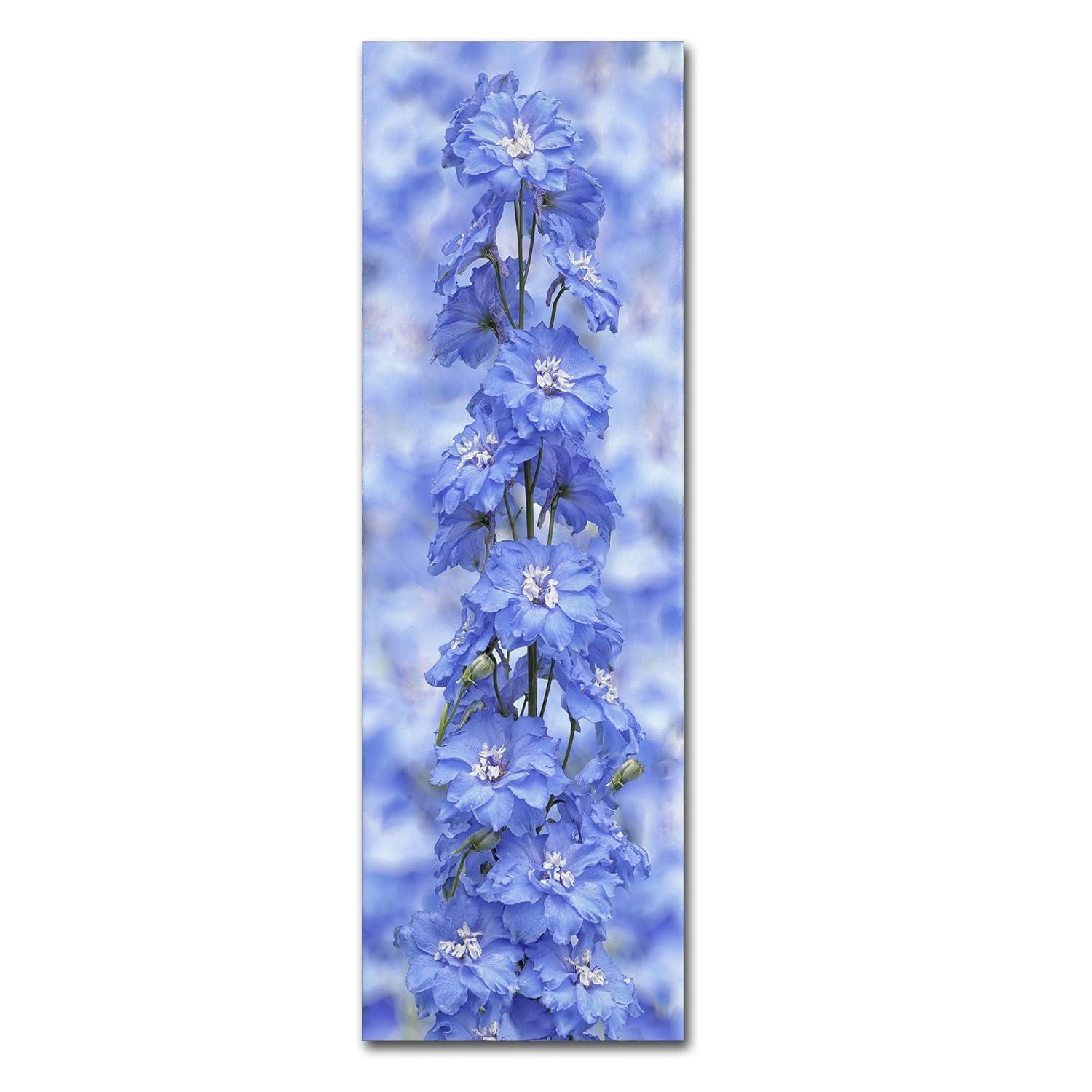 Trademark Fine Art 'Blue Larkspur' Canvas Art by Cora Niele
