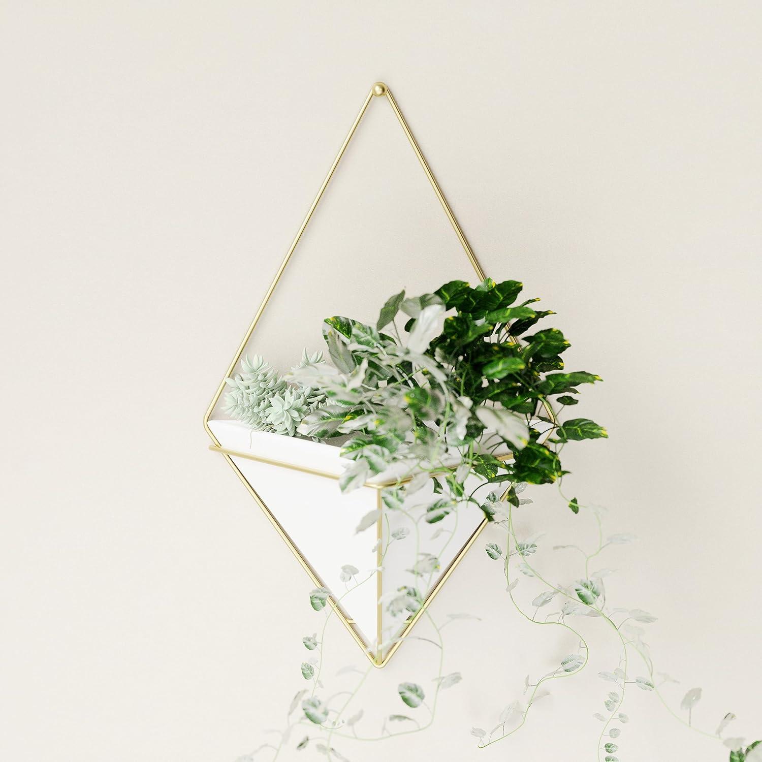Umbra Trigg Planter Wall Decor