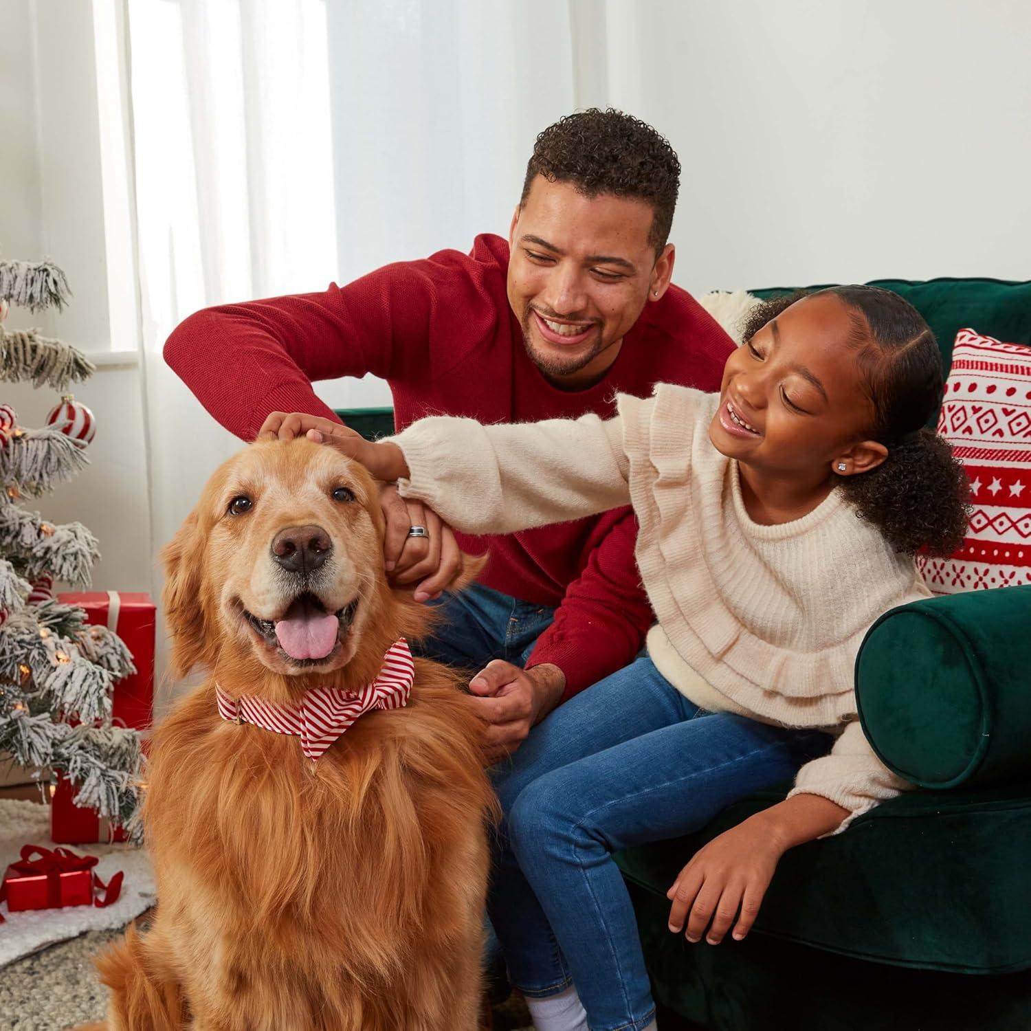 Milk-Bone Limited Edition Holiday Dog Treats 12 Day Advent Calendar, 2.85 Ounce