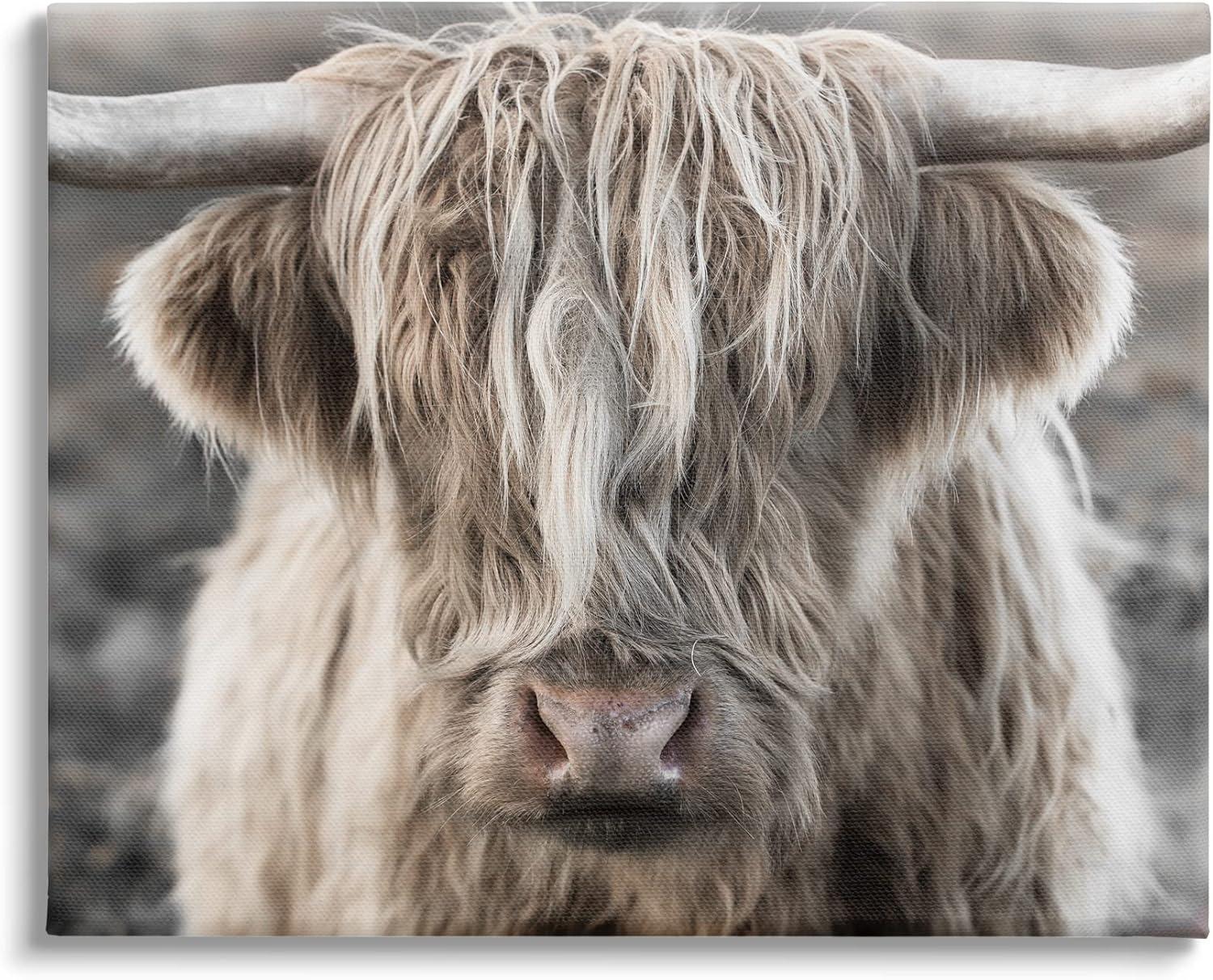 Stupell Industries Detailed Highlands Cattle Rural Farm Animal Photography Photograph Gallery Wrapped Canvas Print Wall Art, Design by Danita Delimont