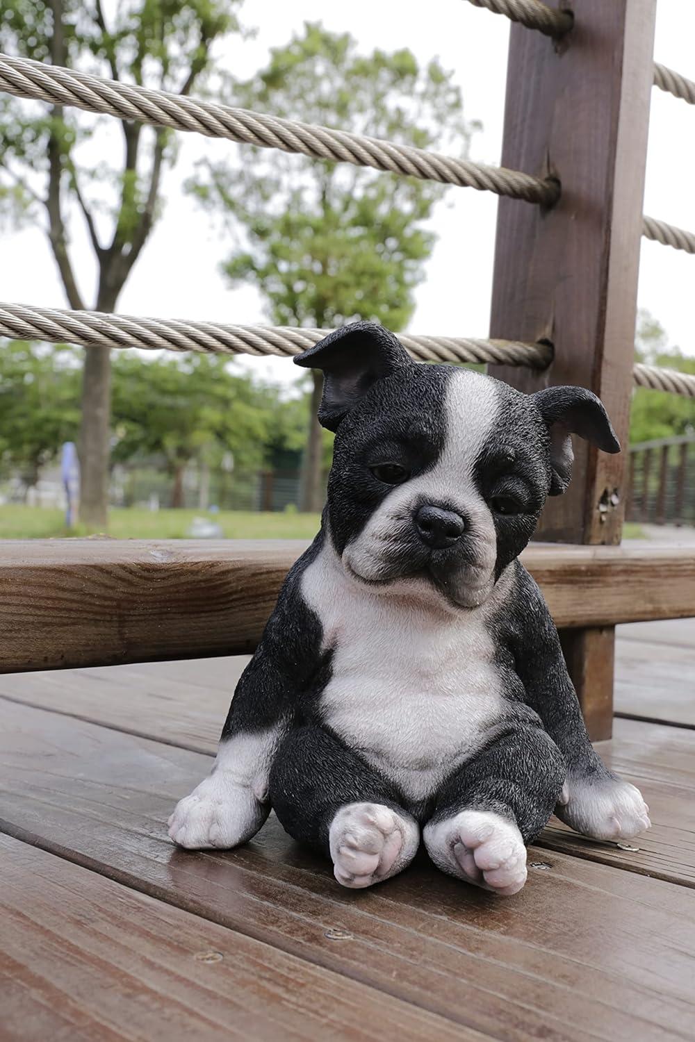 Sleepy Black and White Boston Terrier Puppy Polyresin Statue