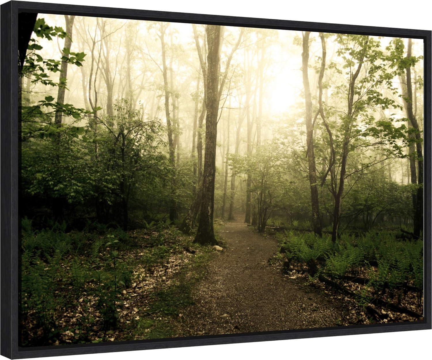 Amanti Art Appalachian Trail by Andy Magee Framed Canvas Wall Art