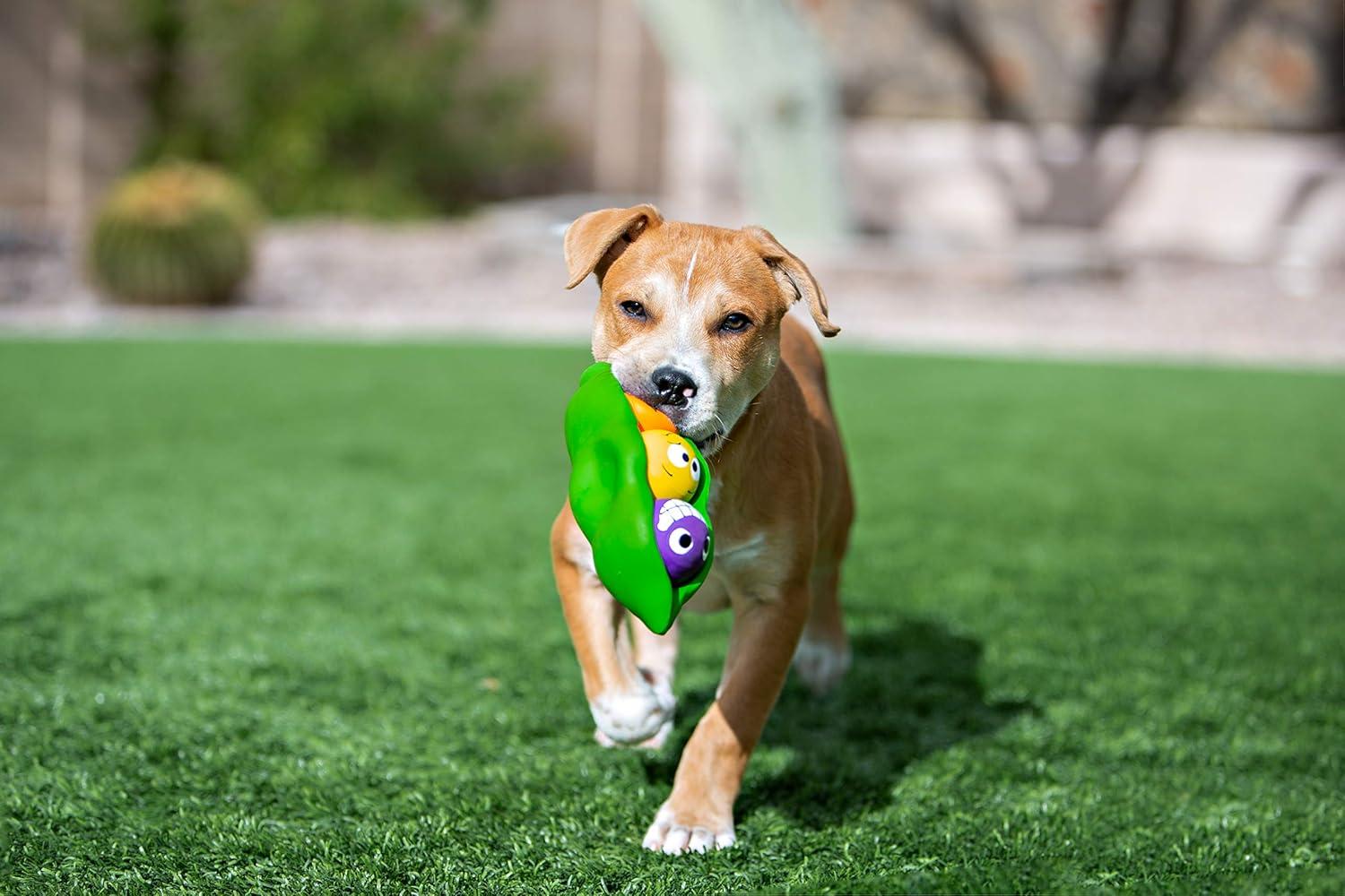 Multipet Three Peas in a Pod Latex 4-1 Dog Toy with Squeaker Balls inside Squeaker Pod, 7.5"