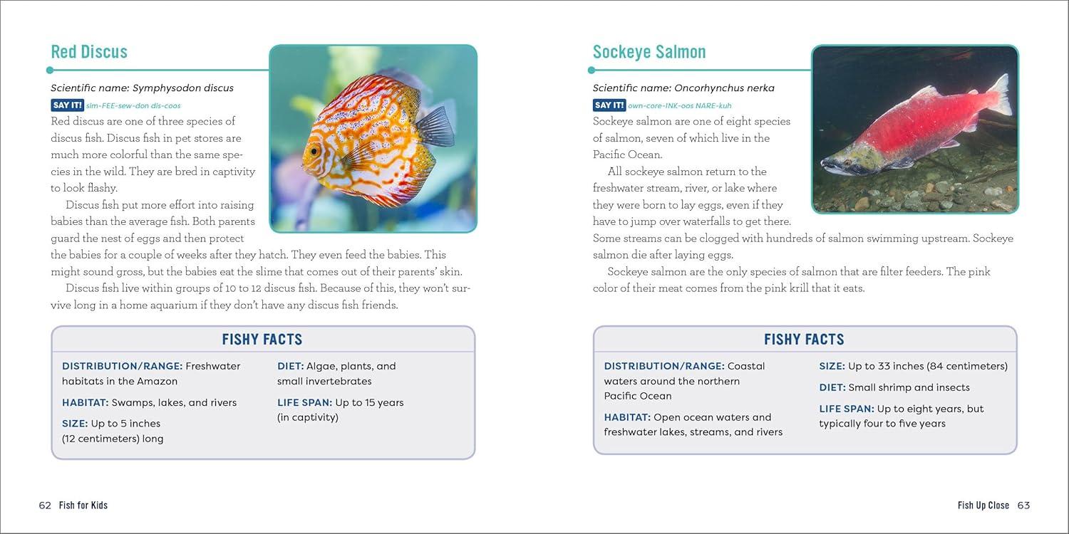 Fish for Kids - (Junior Scientists) by  Kevin Kurtz (Paperback)