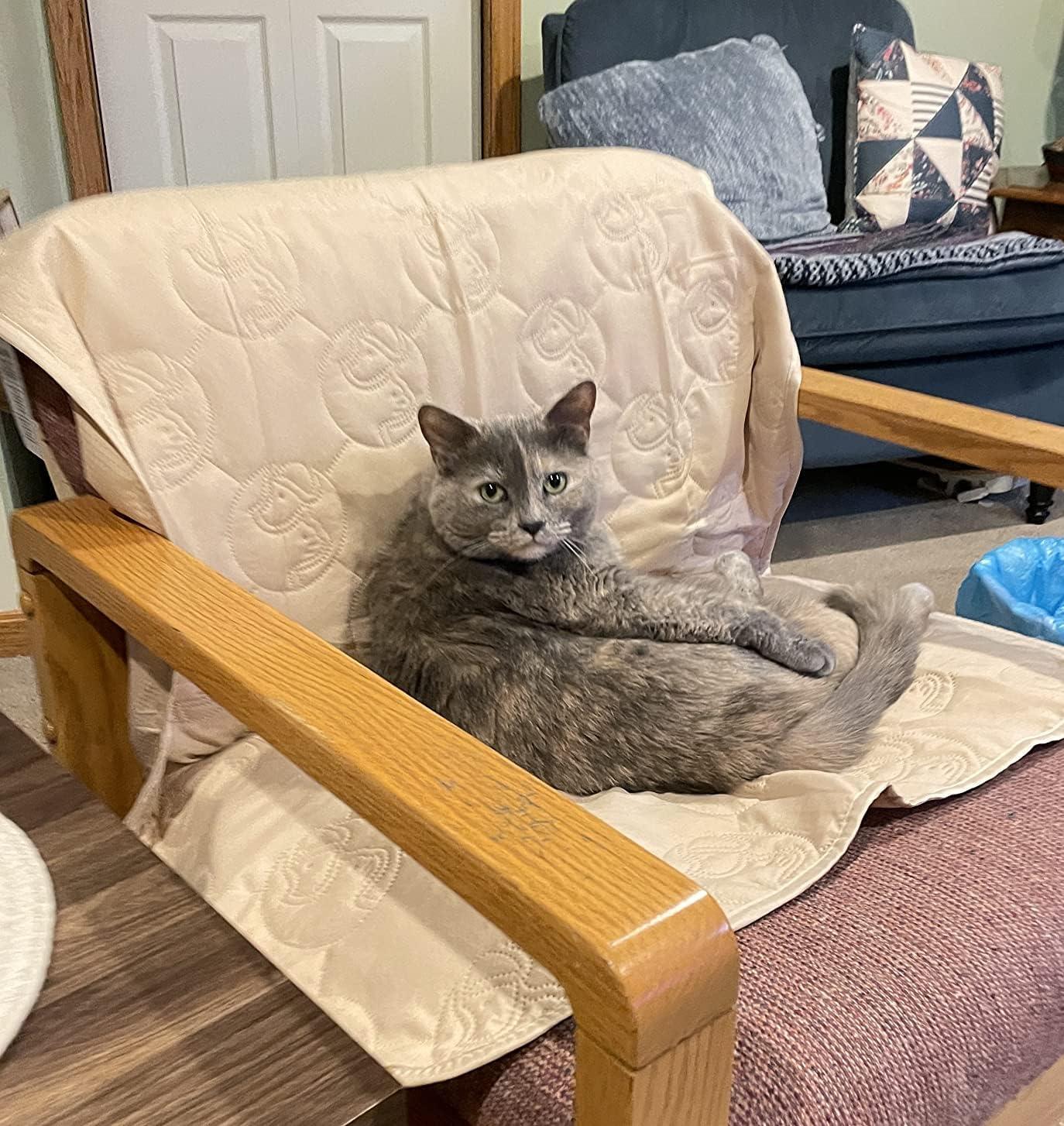 Kritter Planet Waterproof Dog Blanket for Couch, Washable Pet Couch Cover, Non-slip Bed Sofa Furniture Protector Mat for Dogs Cats