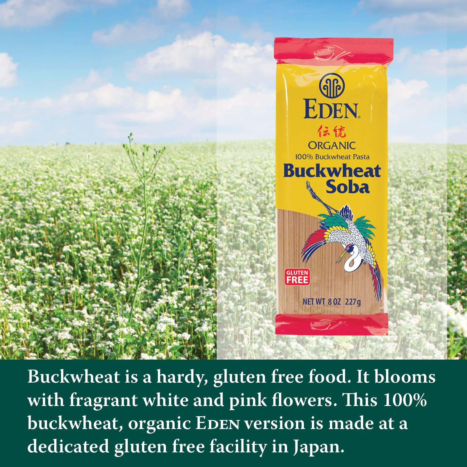 Eden Foods Pasta Buckwheat Soba, 8 Oz
