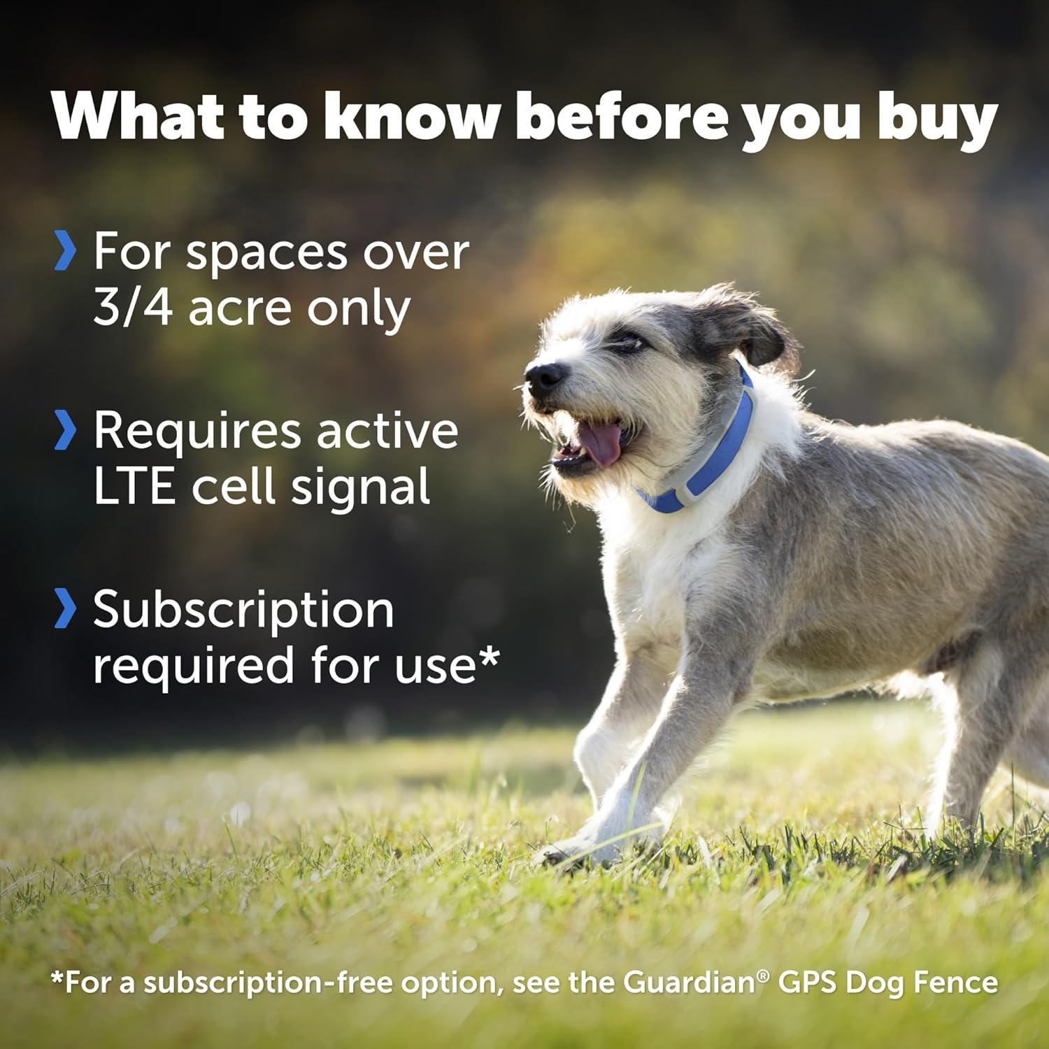 PetSafe Guardian GPS + Tracking Dog Wireless Fence Collar, Over 3/4 Acres, Subscription Required