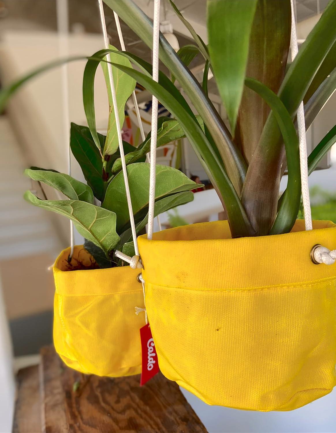 Caldo Two Plant Hangers - Perfect for Indoor or Outdoor Decoration (Yellow)