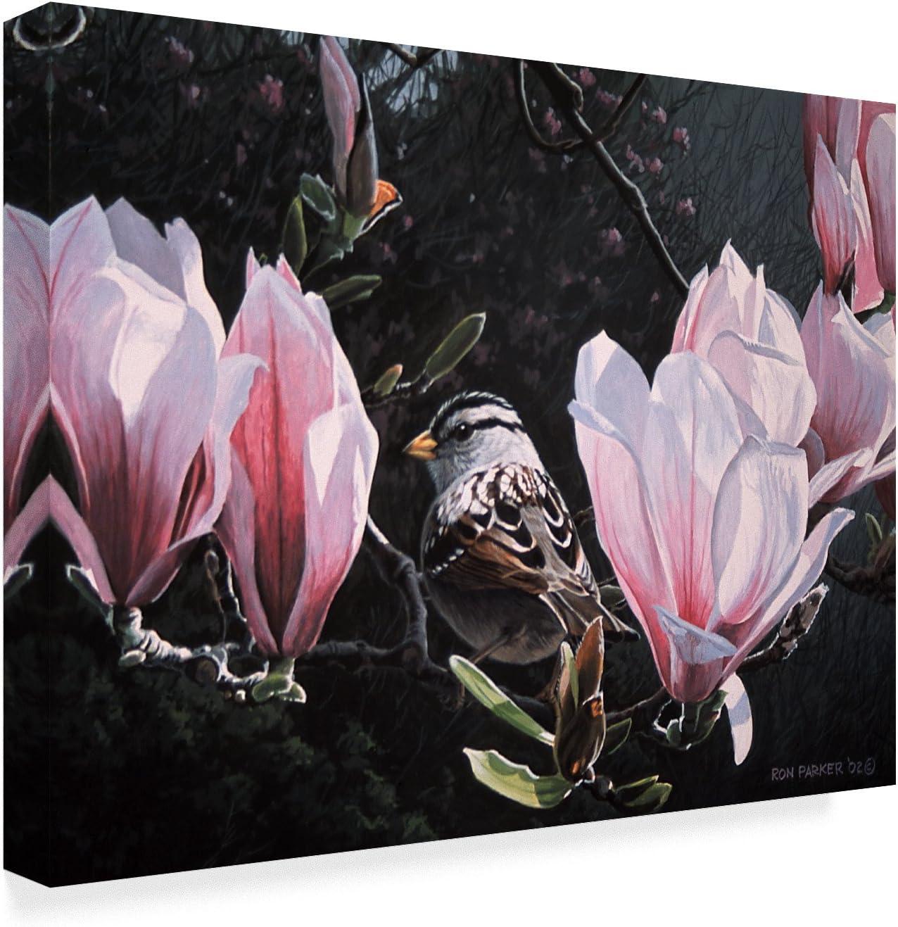 Ron Parker " Sparrow In Magnolia " by Ron Parker