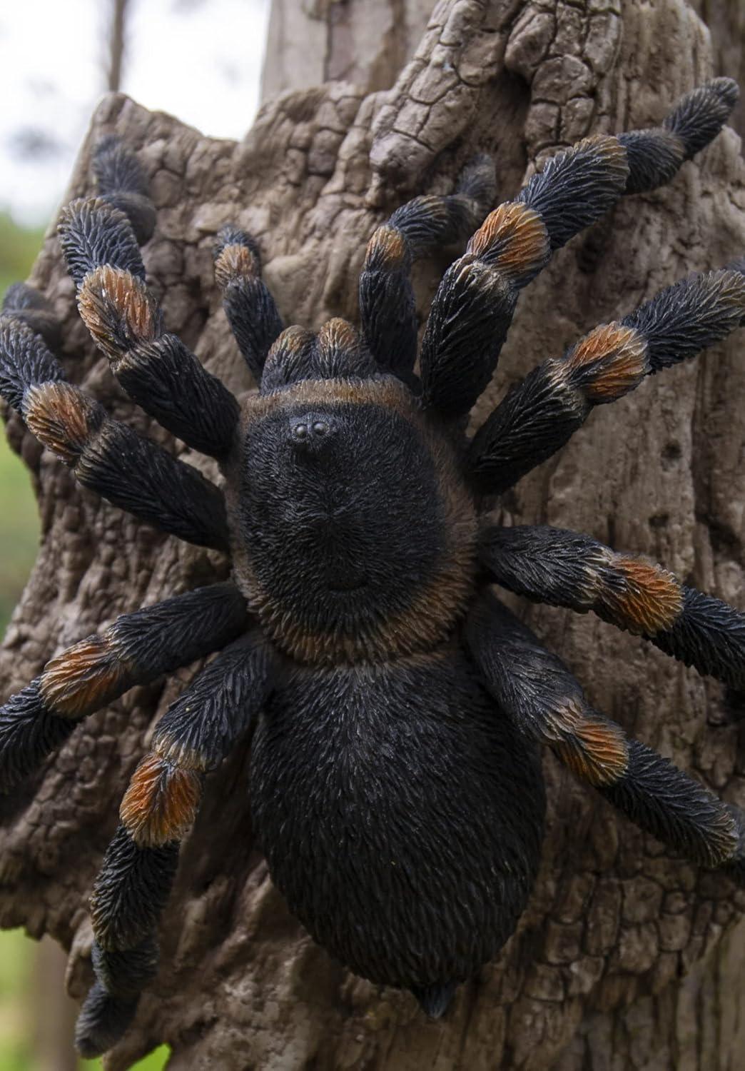 TARANTULA