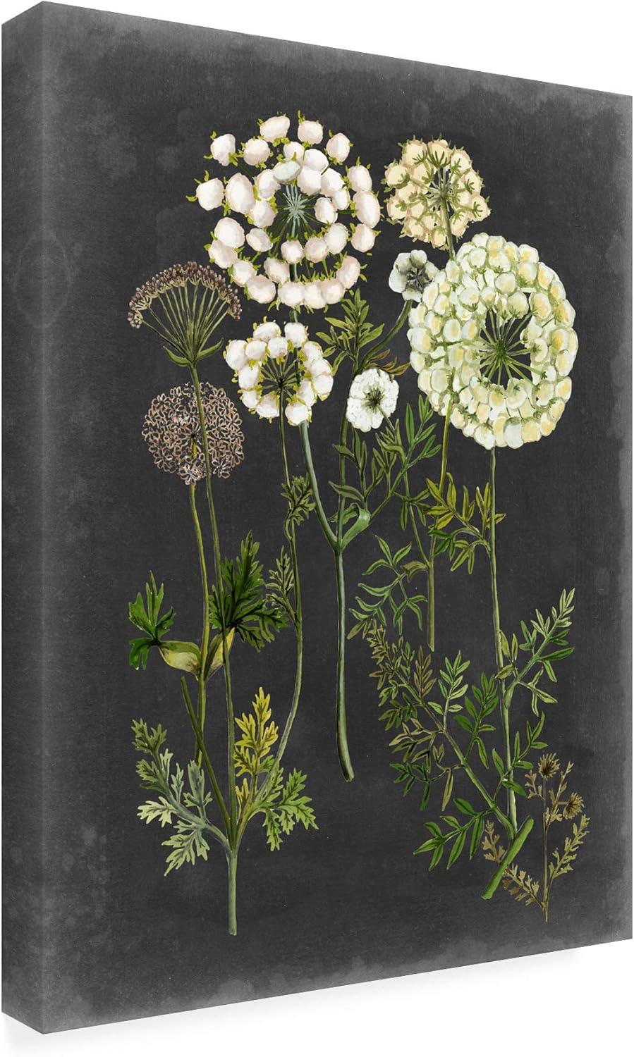 Trademark Fine Art -Naomi Mccavitt 'Bookplate Floral Ii' Canvas Art