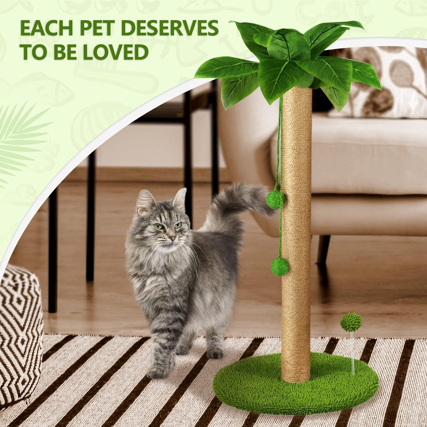 Dohump Cat Scratching Post, 26" Kitten Scratching Post with Premium Sisal Rope, Cute Cat Tree with Dangling and Spring Ball Toys for Indoor Small Cats