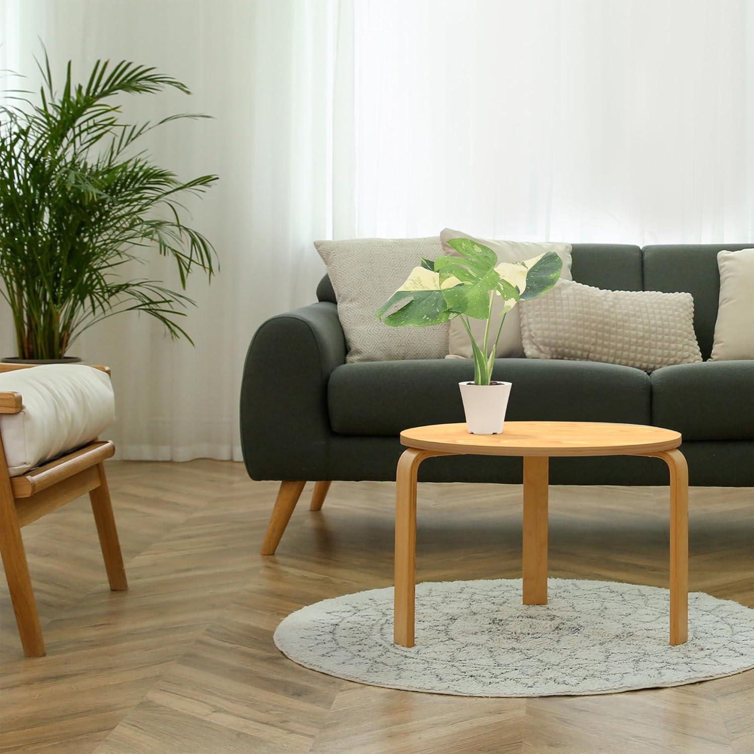 Arcadia Garden Products Thai Monstera Live Monstera Thai Constellation Plant in Pot Liner