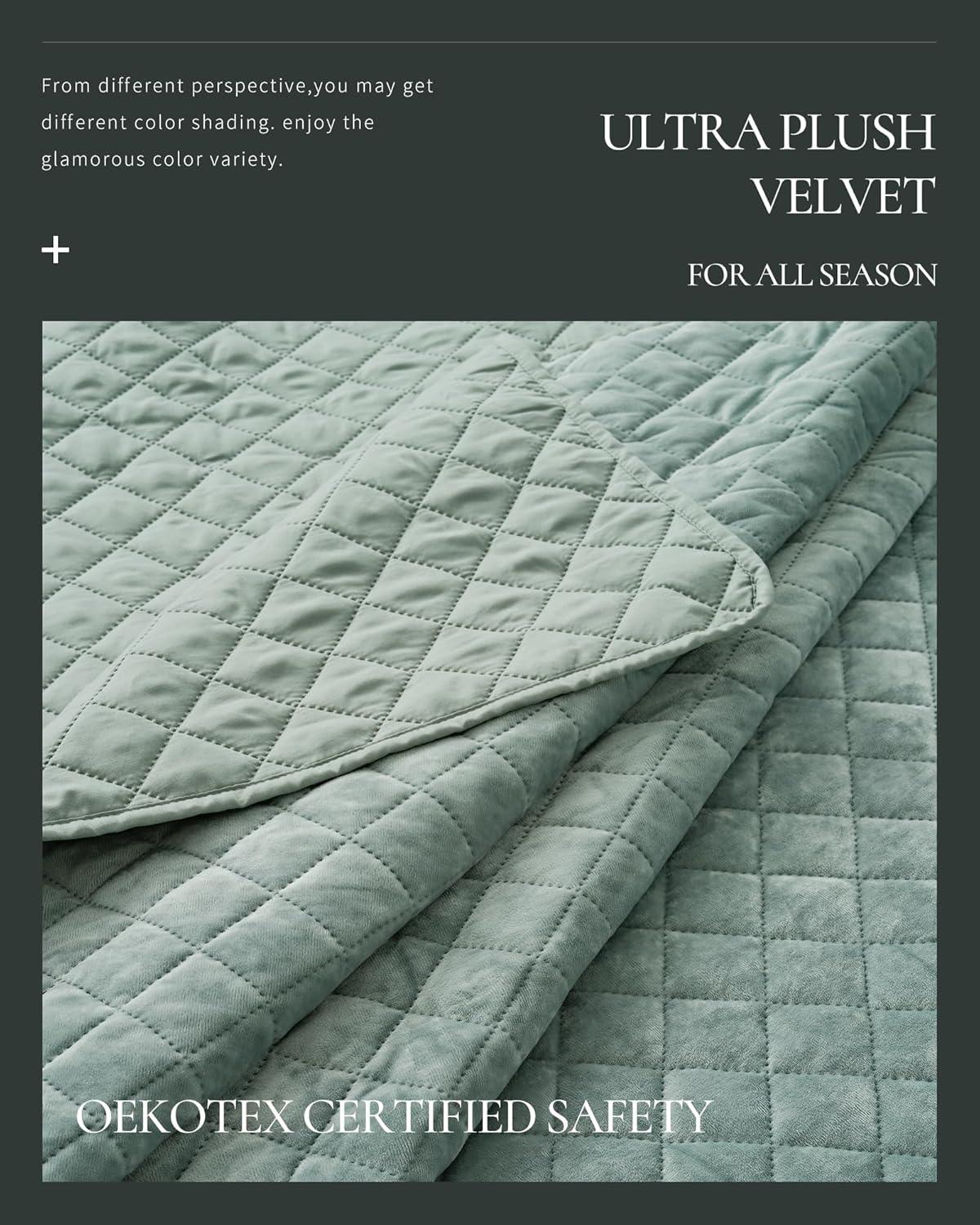 Royal Velvet Diamond Velvet Quilt Set