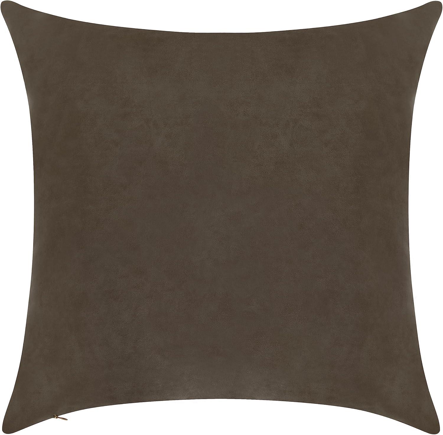 Delara Velvet Decorative Throw Pillow Cover 20 x 20 Inches (Set of 1)