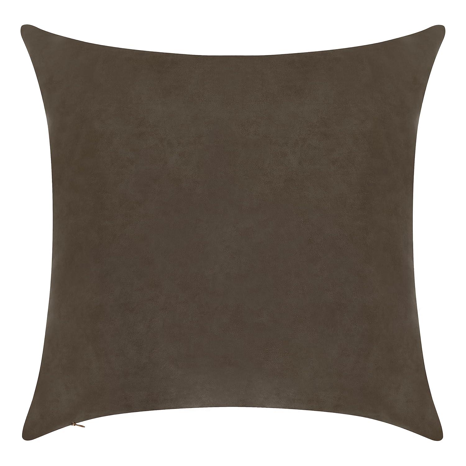 Delara Velvet Decorative Throw Pillow Cover 20 x 20 Inches (Set of 1)