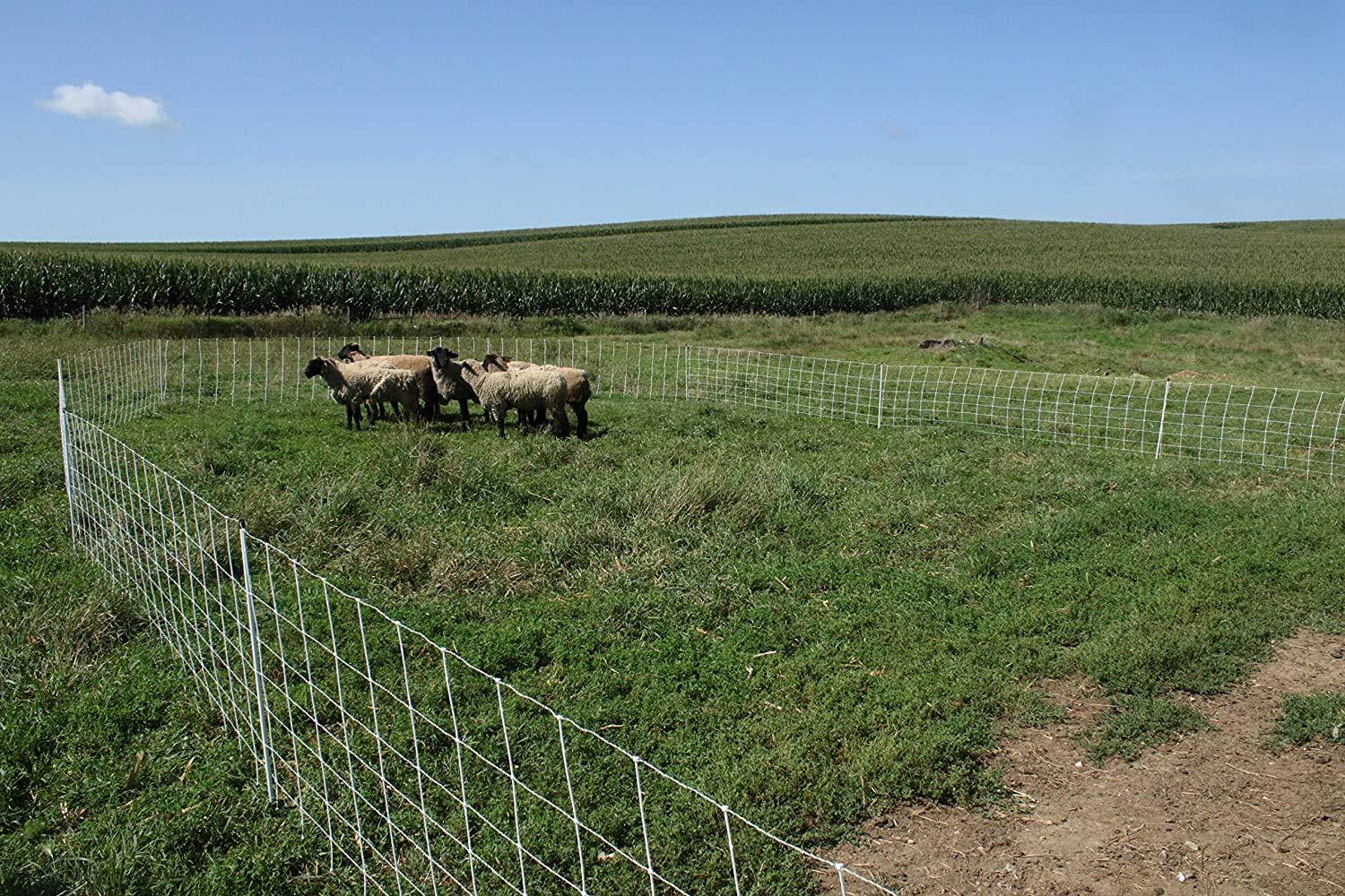 Starkline 35" x 164' Blue Electric Fence Netting with Stainless Steel Conductors