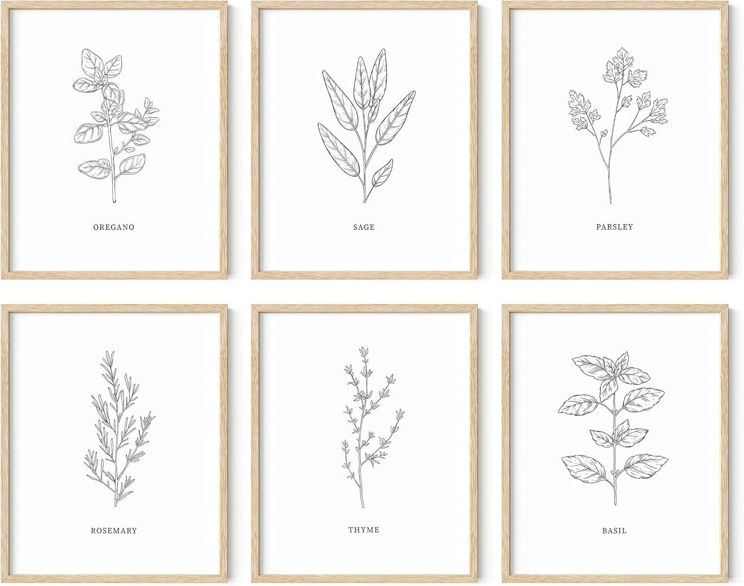 HAUS AND HUES Kitchen Herbs Wall Art Decor for Kitchen Herb Art Prints and Kitchen Signs Wall Decor | Herb Prints Kitchen Wall Art Kitchen Posters for Wall Herb Decor (8"X10" Unframed)