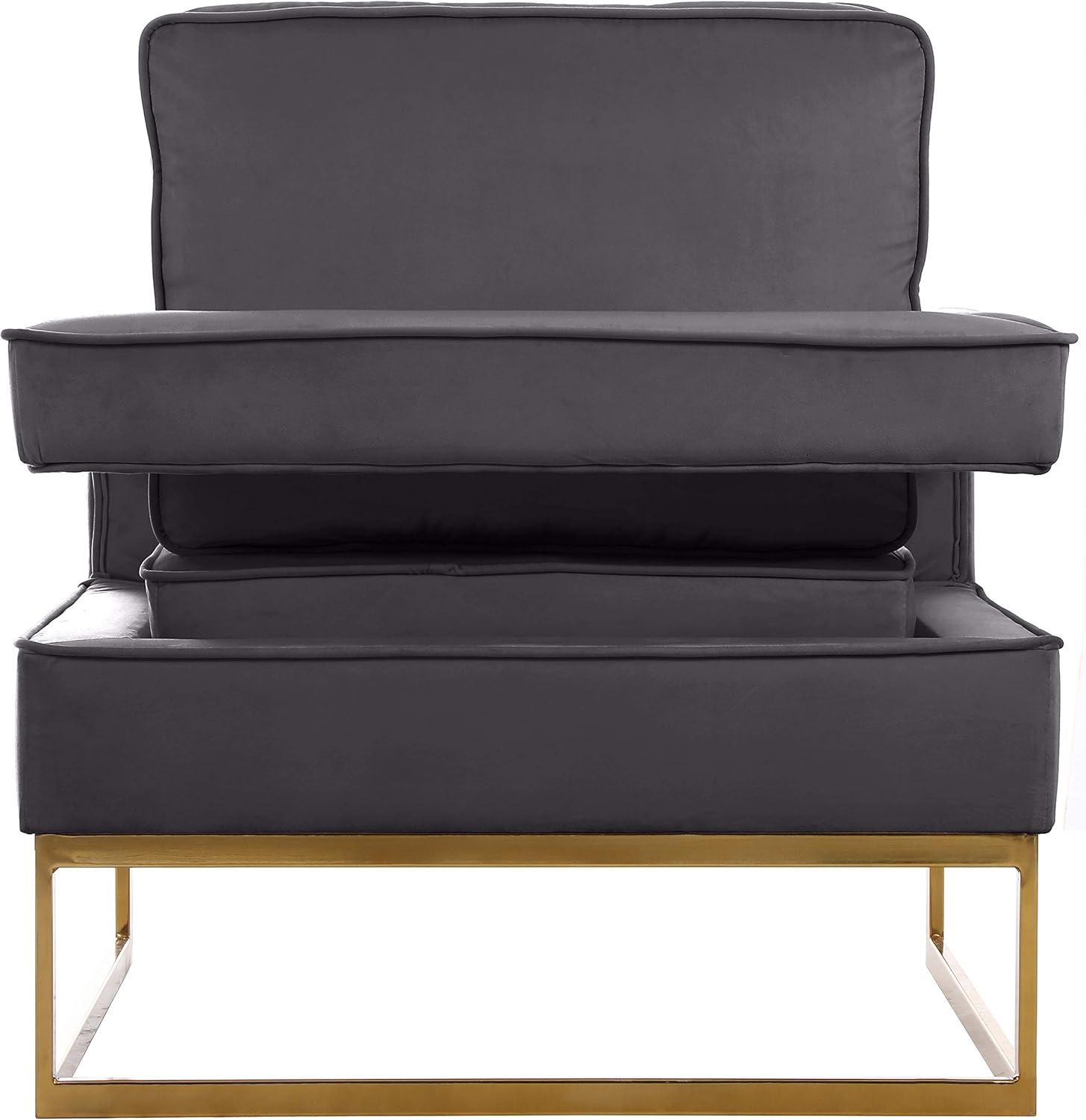 Meridian Furniture Noah Gray Velvet Accent Chair with Gold Iron Base
