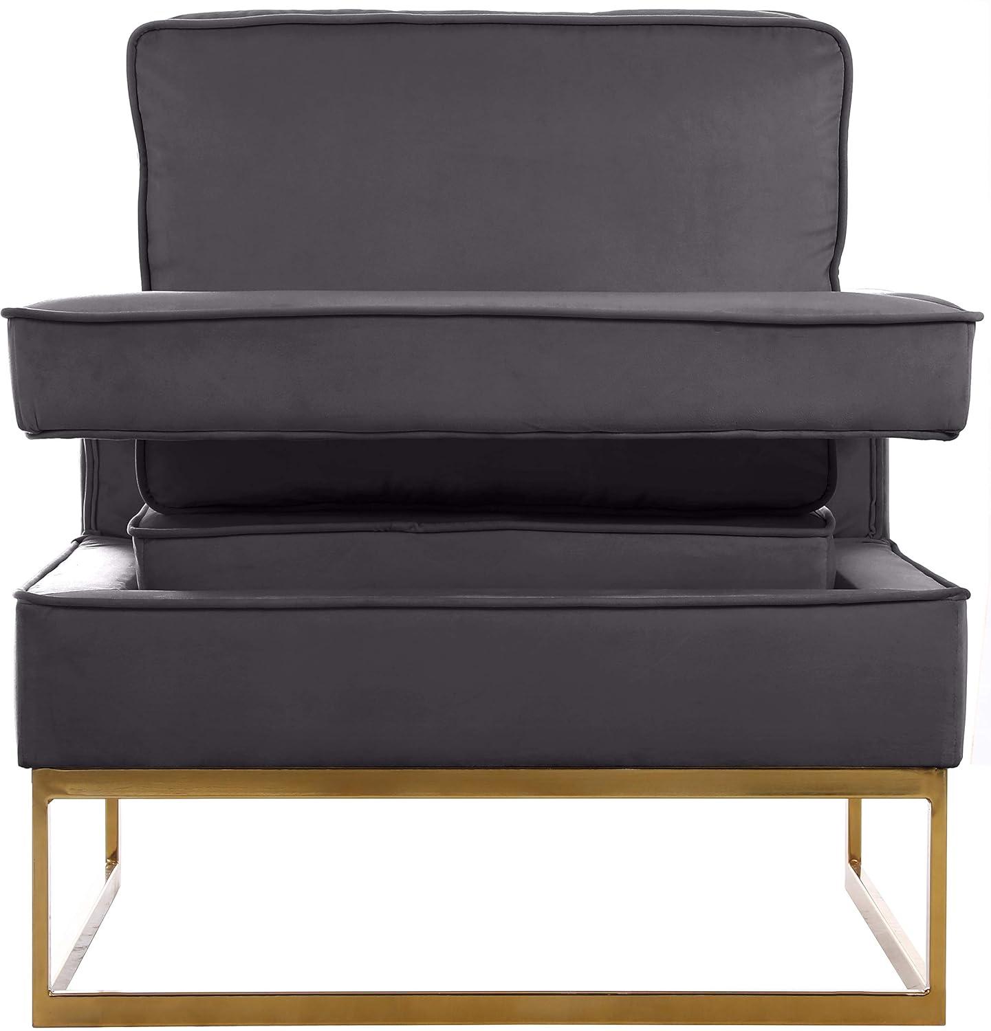 Meridian Furniture Noah Gray Velvet Accent Chair with Gold Iron Base