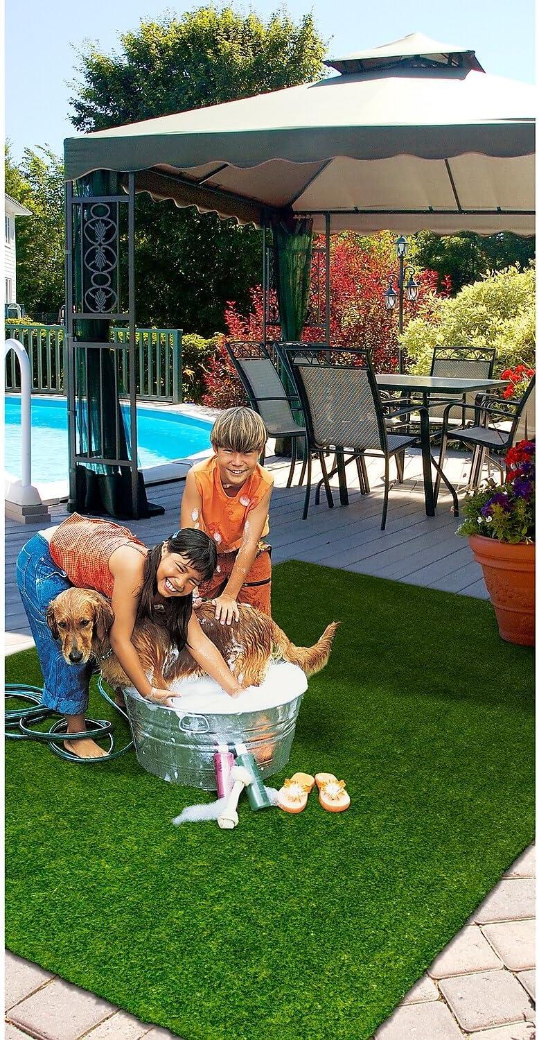 Joy Carpets Joy Carpets Greenspace Indoor/Outdoor Area Rug