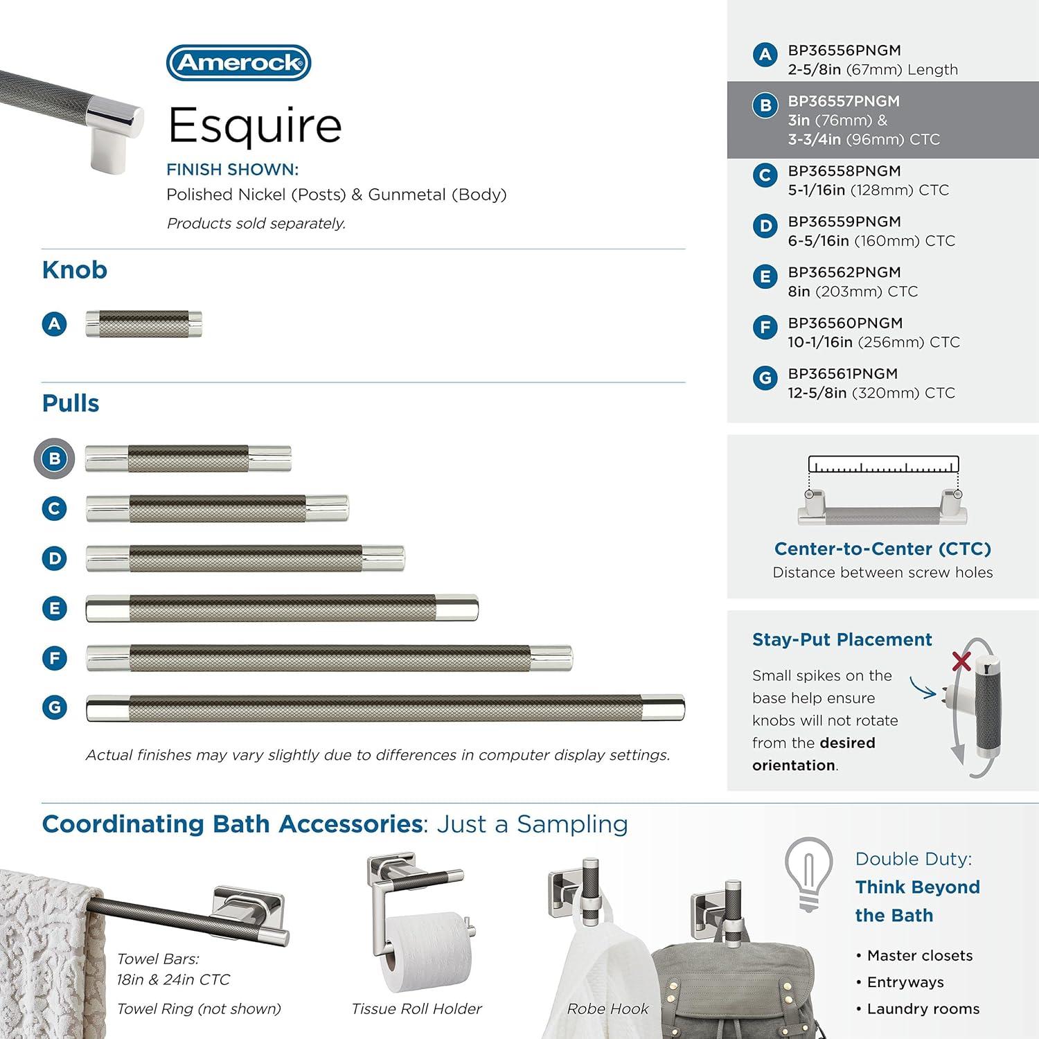 Amerock Esquire Cabinet Pull