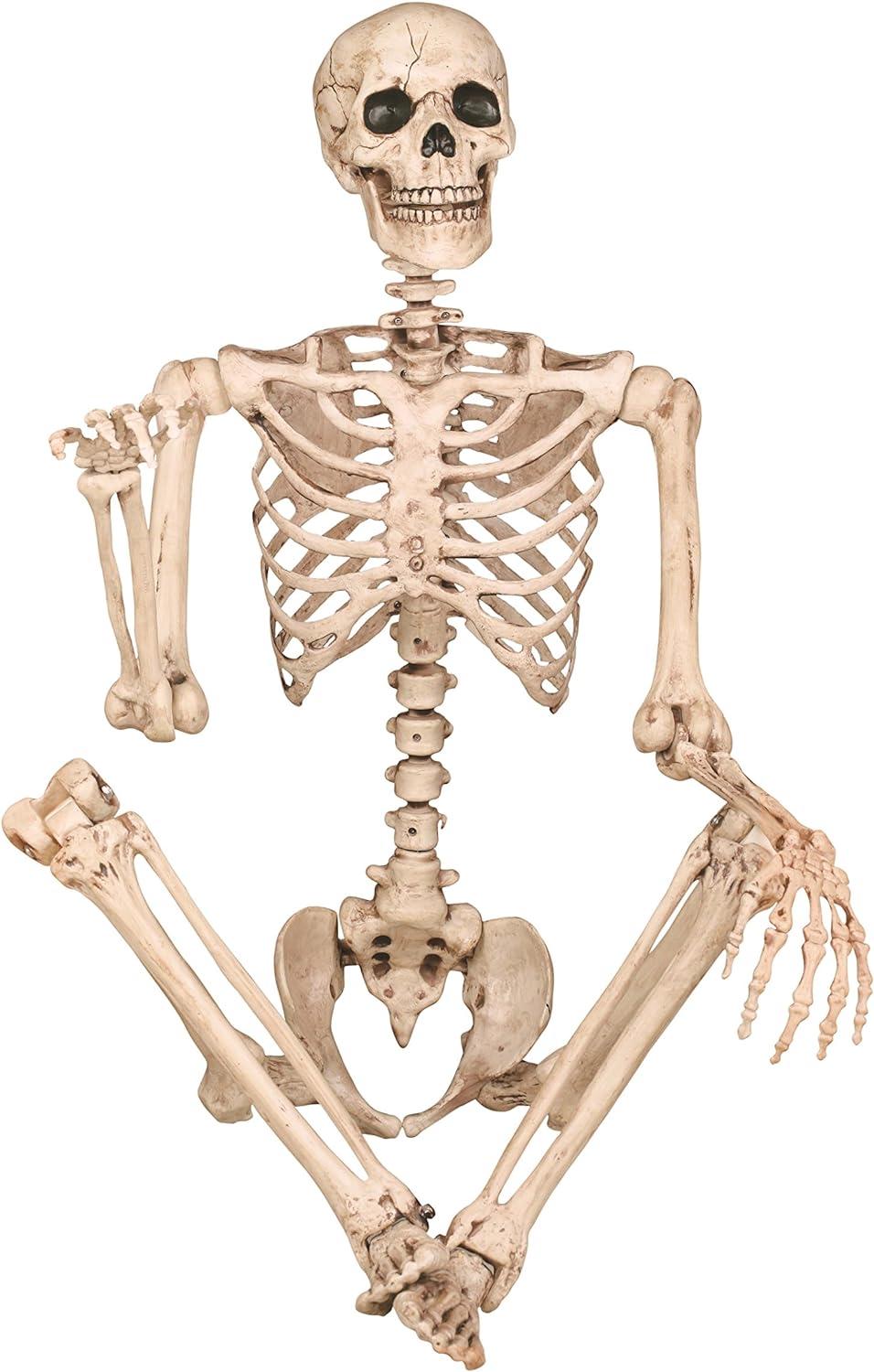 Crazy Bonez Pose-N-Stay Life Size 5 FT Skeleton with Realistic Posable and Movable Joints for Halloween Indoor and Outdoor Decoration