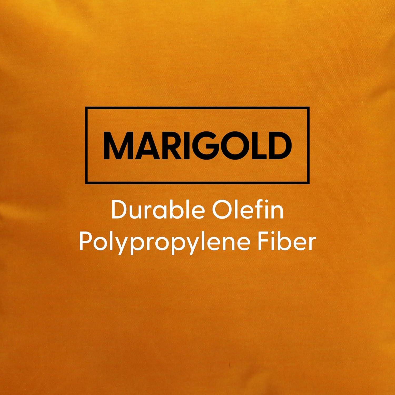 Element Synthetic Throw Square Indoor/Outdoor Pillow Cover & Insert (Set of 2)