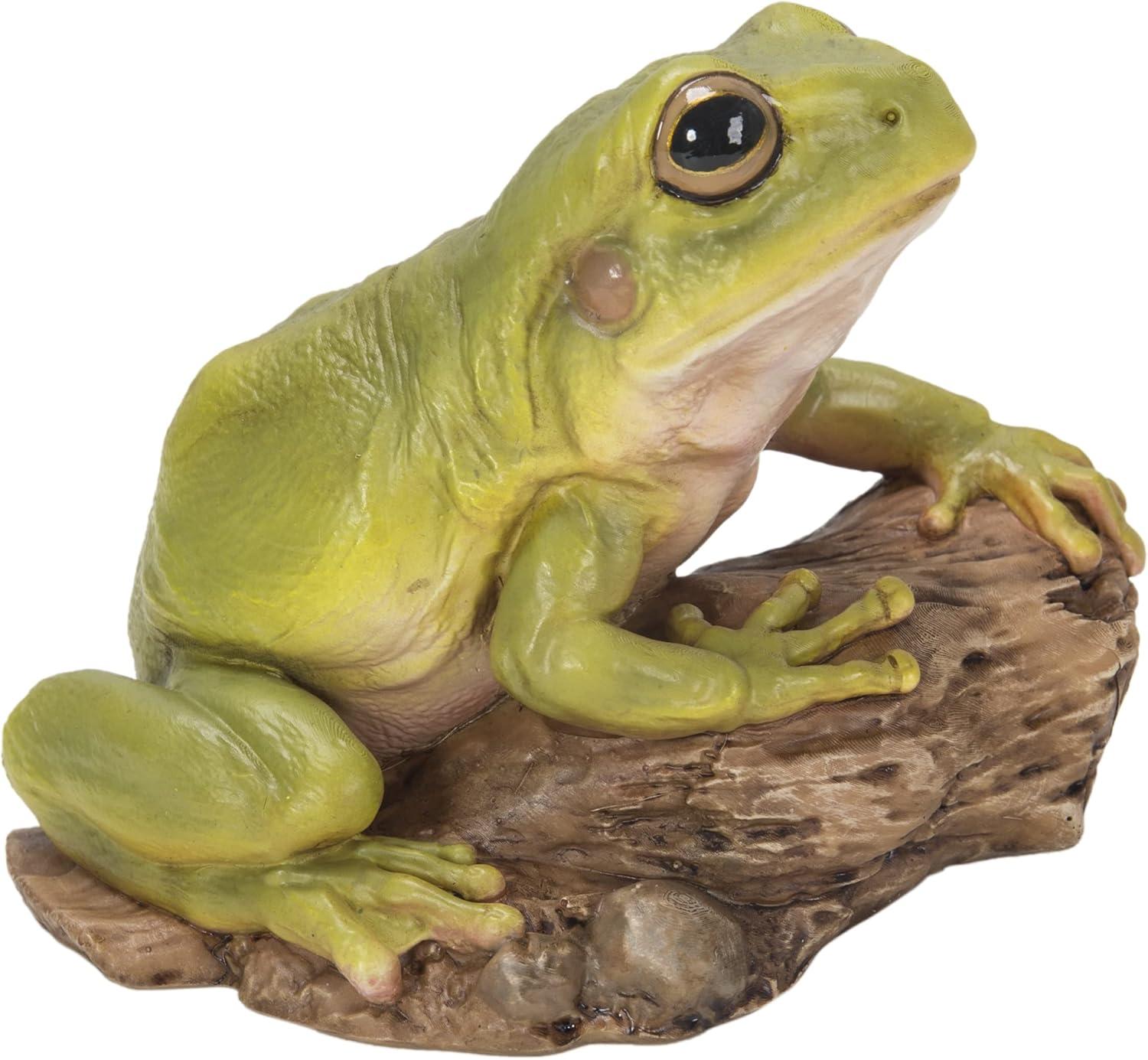 Tree Frog