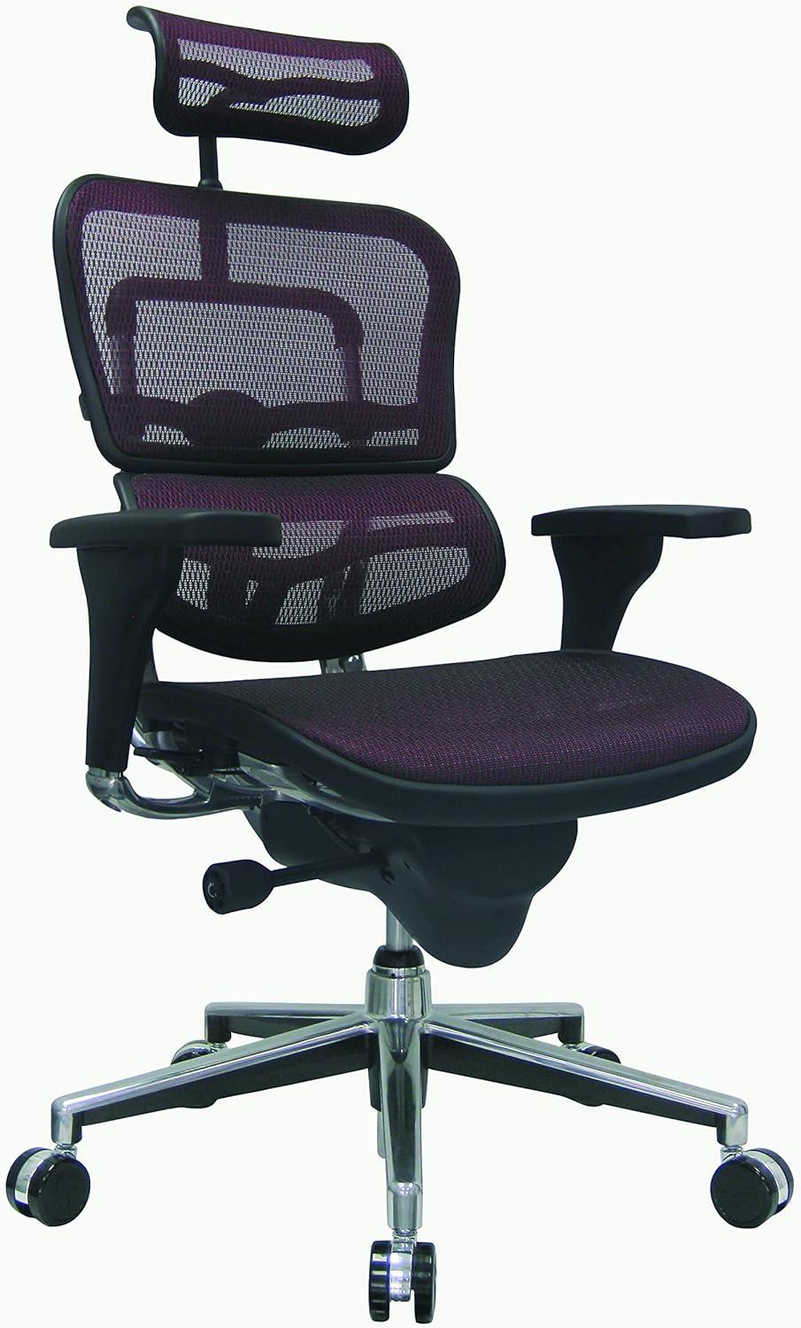 Raynor Eurotech Ergo Human High Back Managers Chair with Headrest and Mesh Plum Red ME7ERG-Red(N)