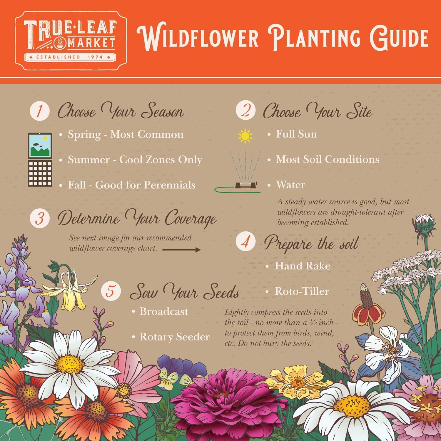 Mountain Valley Seed Company Rocky Mountain Wildflower Mix, 80,000 Flower Seeds, 18 Assorted
