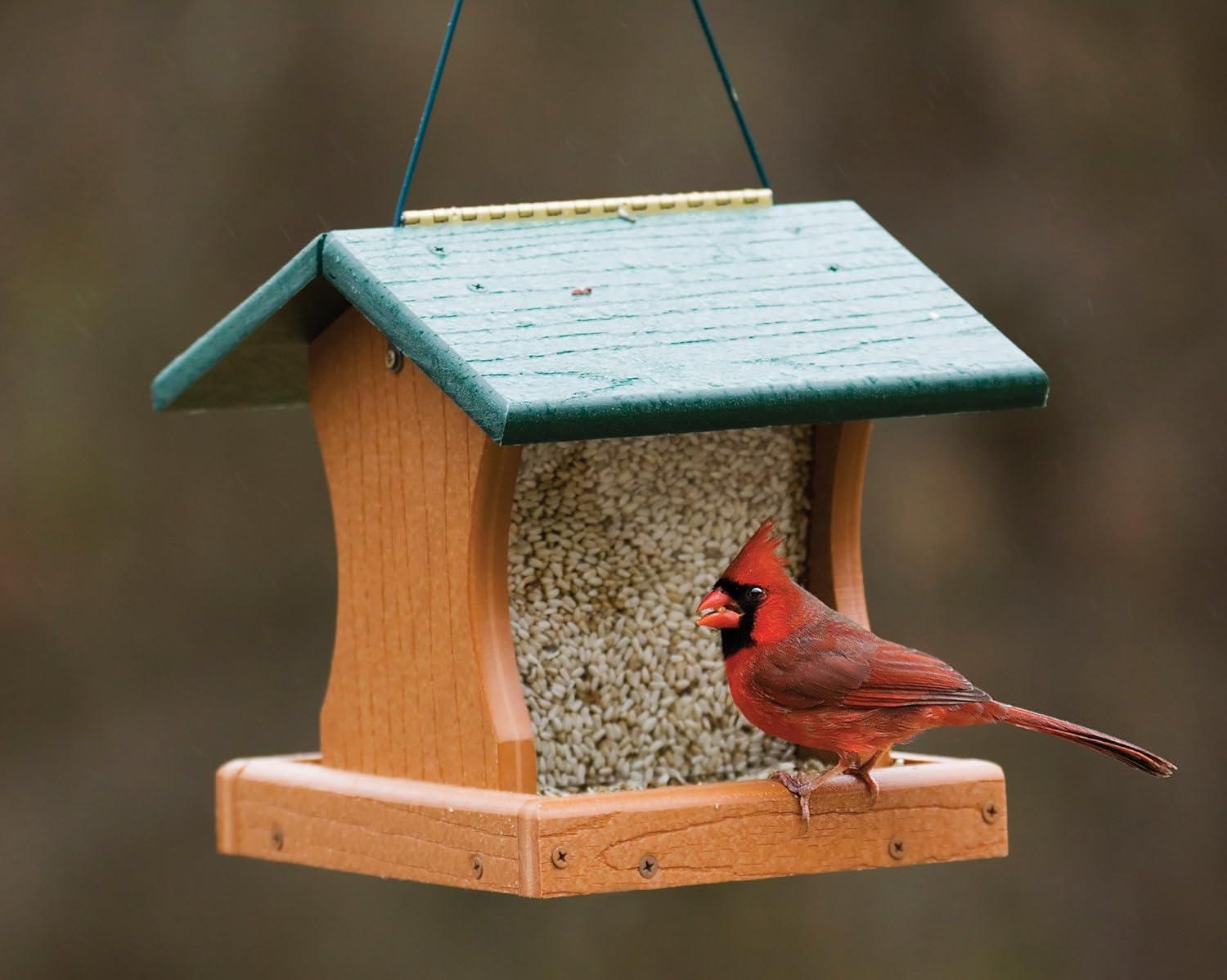 Woodlink Going Green Premier Bird Feeder, Medium